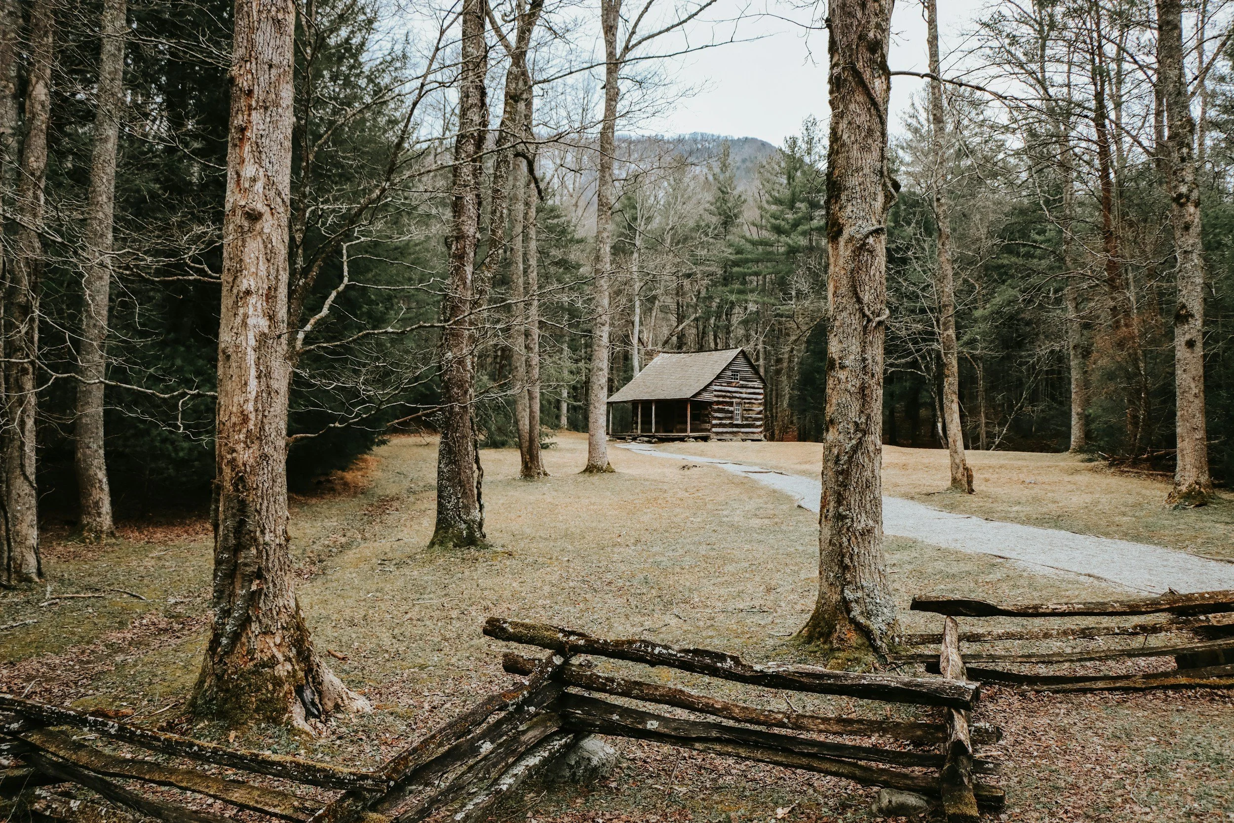 A rustic log cabin is situated in a woods with tall trees, a gravel path leading up to it, and a broken wooden fence in the foreground.