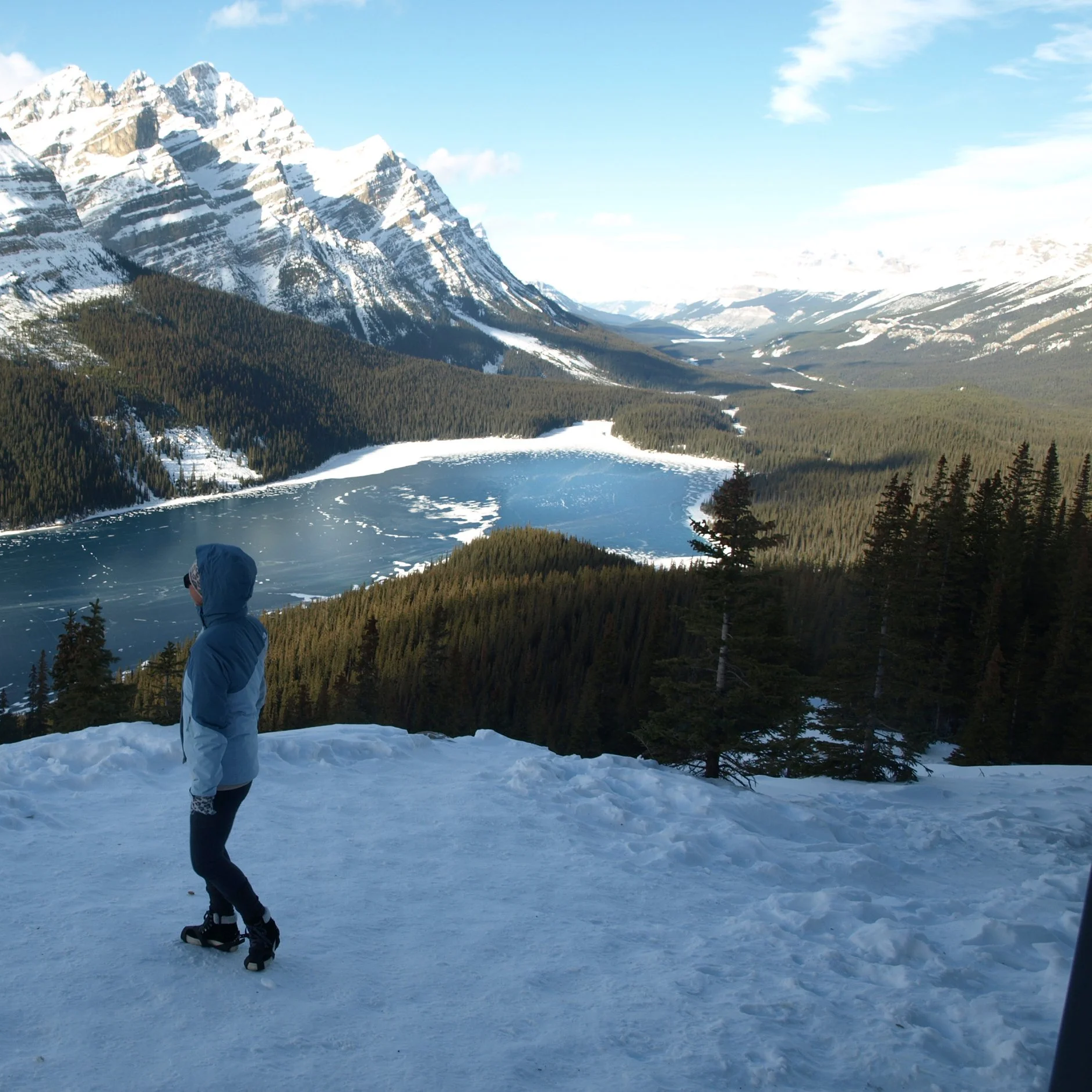 A person in winter clothing on snow with a mountainous landscape, frozen lake, and pine trees in the background.
