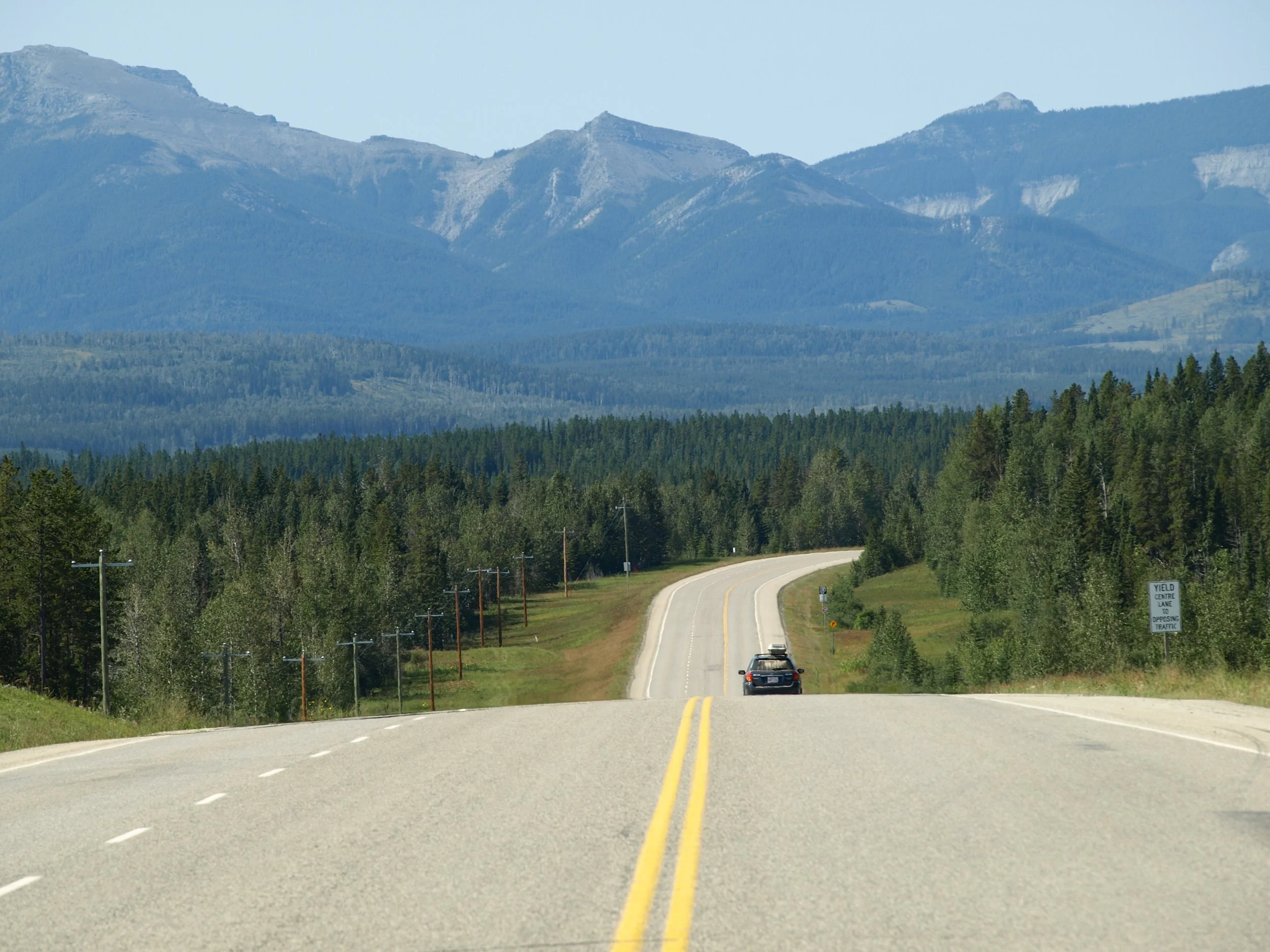 Long winding country road surrounded by green trees, with mountains in the background under a clear sky.
