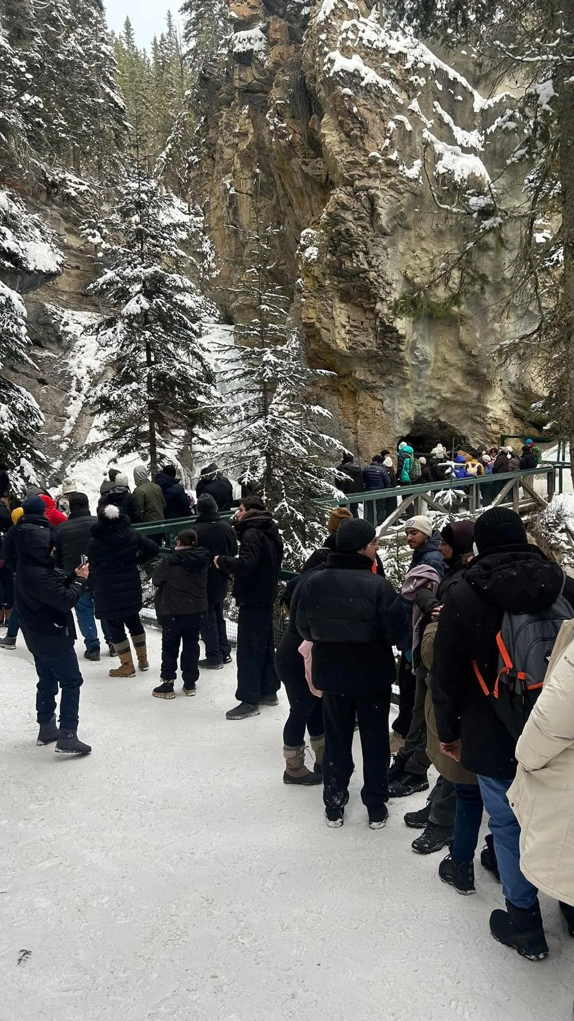 People waiting in line at a scenic outdoor location with snow-covered trees and rocky cliffs, possibly at a popular tourist site or park.