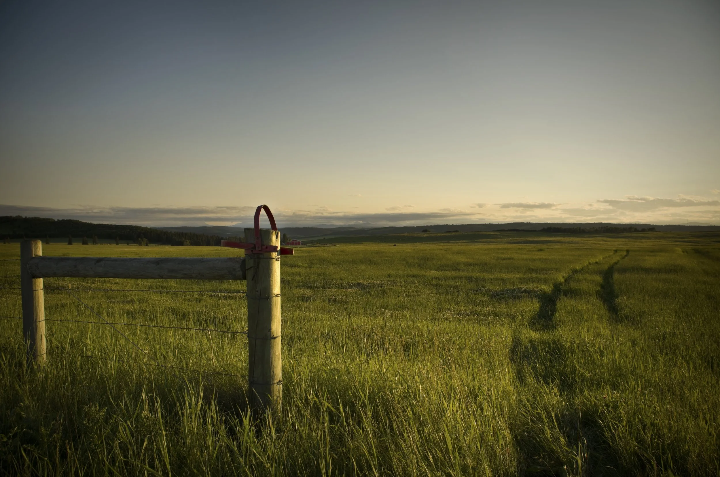 Open field with green grass, a dirt track running through it, a wooden fence with red hinges in the foreground, under a clear sky with some clouds, in a rural landscape during sunset or sunrise.