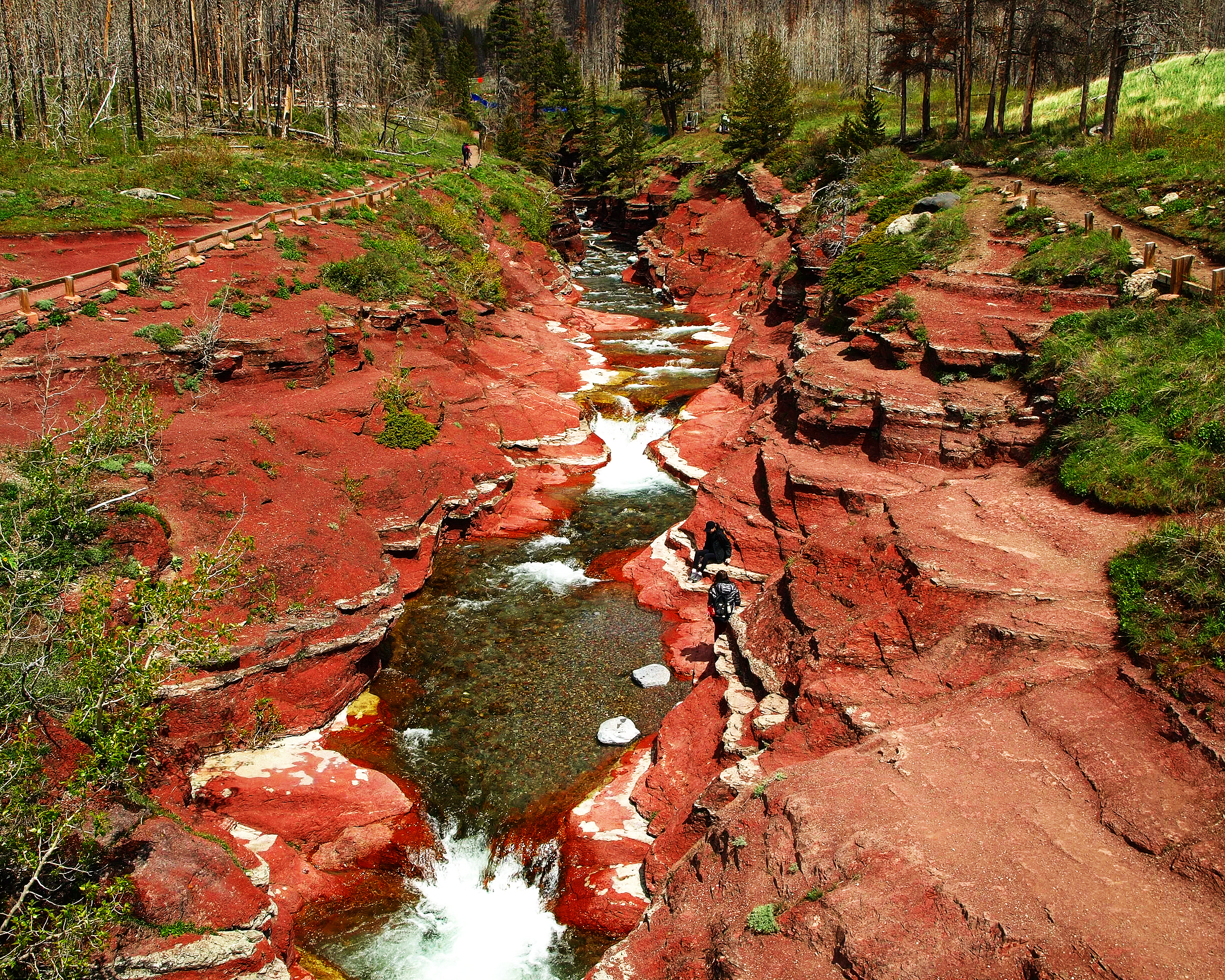 Hikers walking along a rocky red canyon with a small stream running through it, surrounded by trees and a trail on each side.