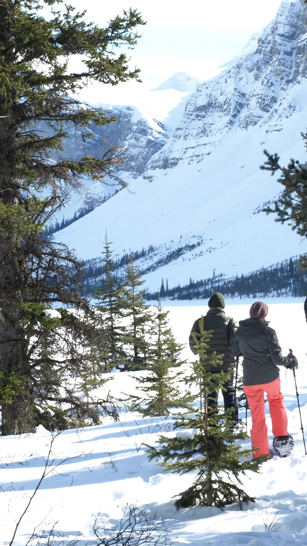 Two people with winter clothing and ski poles standing in snowy forest with pine trees, gazing at snow-covered mountains in the distance.
