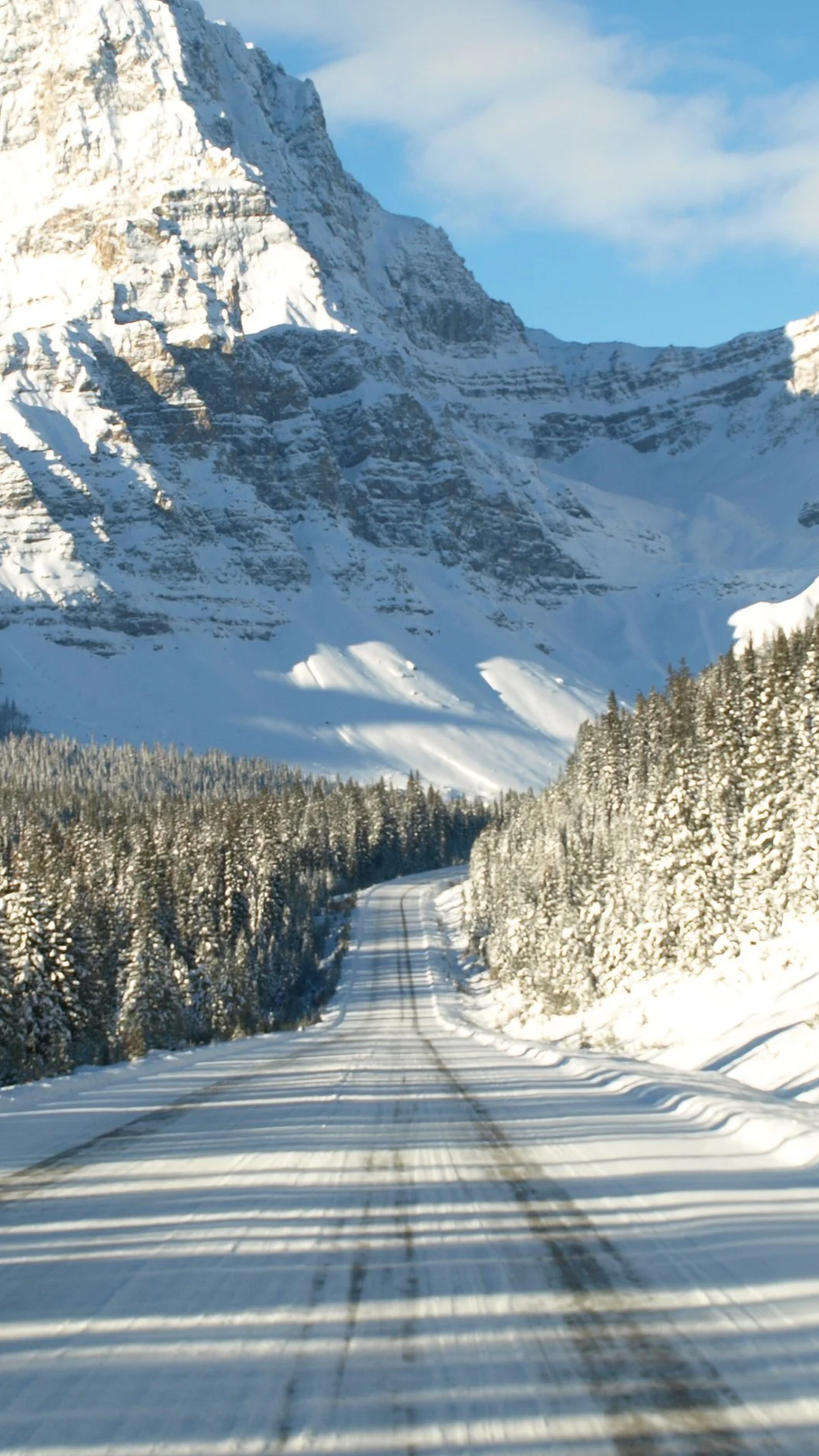 Snow-covered road winding through a forest with tall snow-capped mountains in the background.