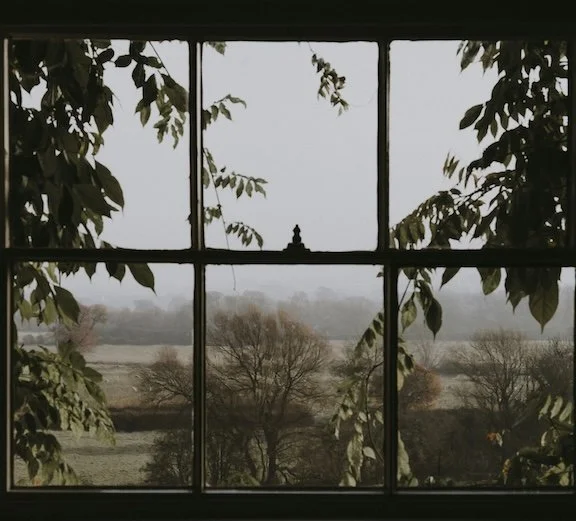 Recognizing Your Window of Tolerance in Daily Life