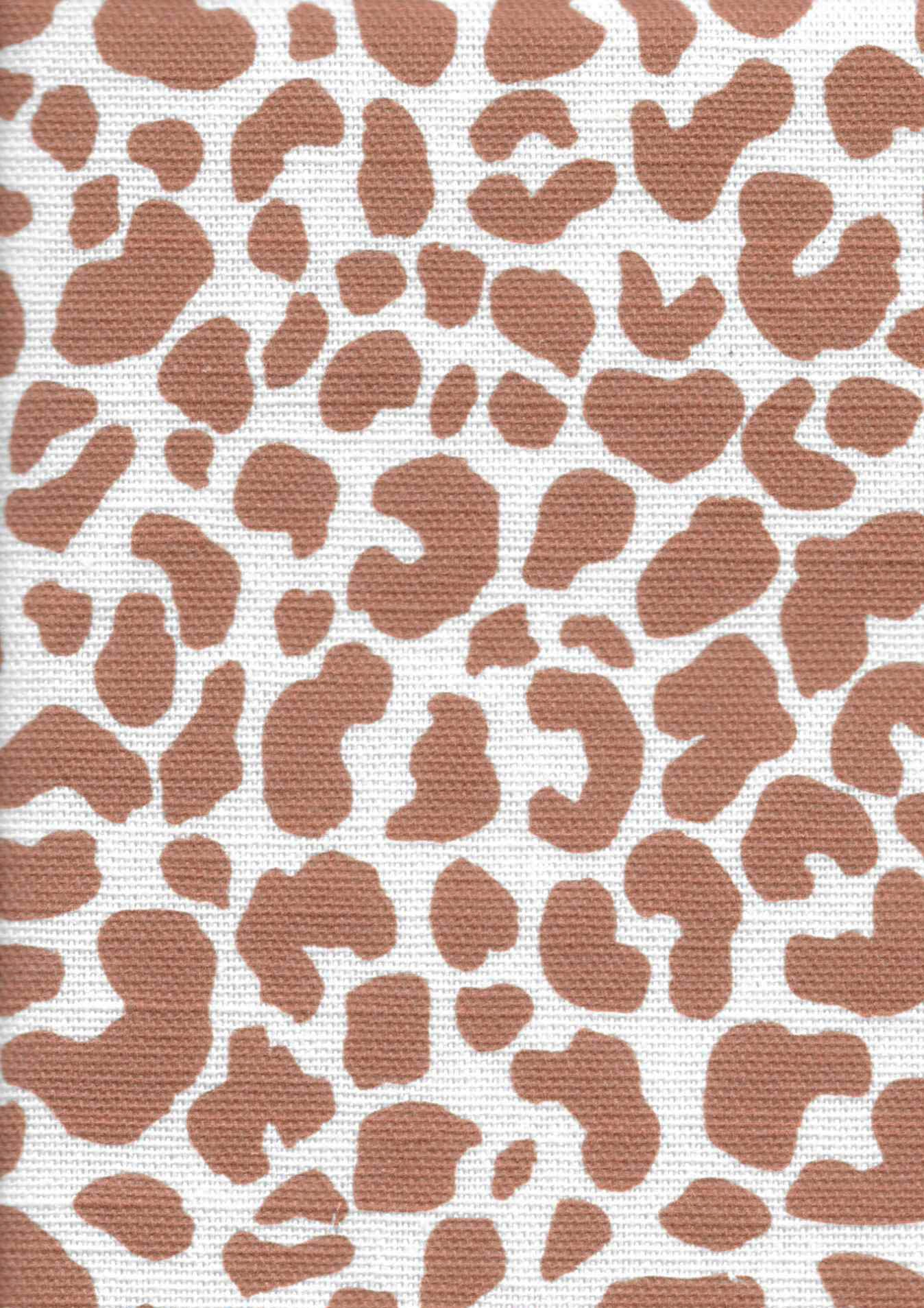 Amur | Mocha