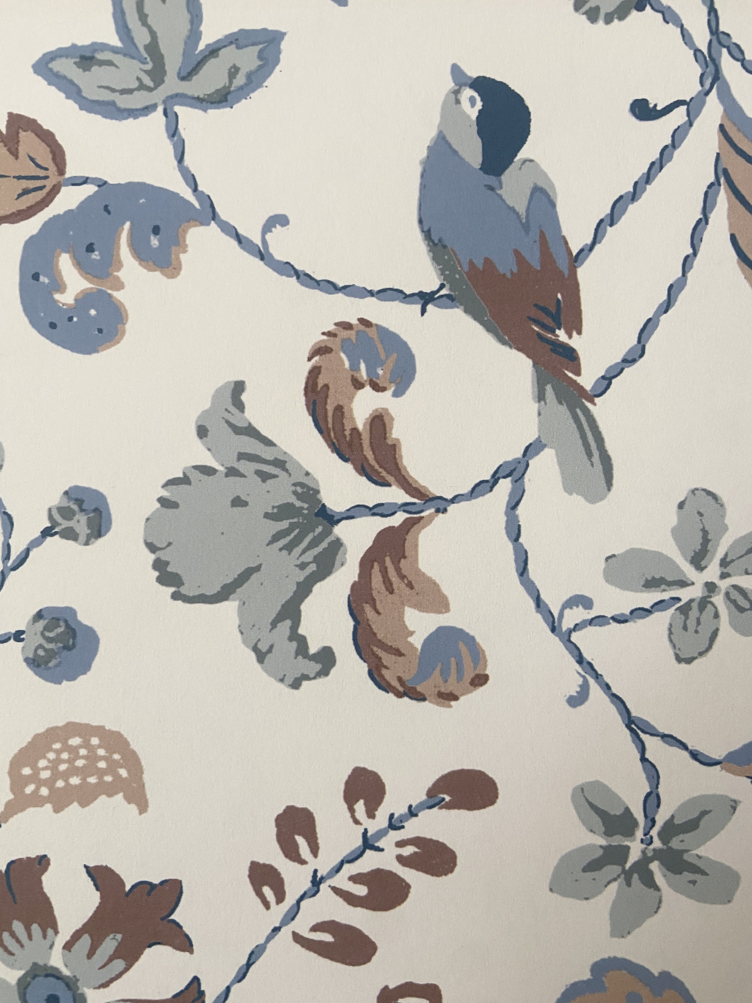 Dawn Chorus Wallpaper | Winter