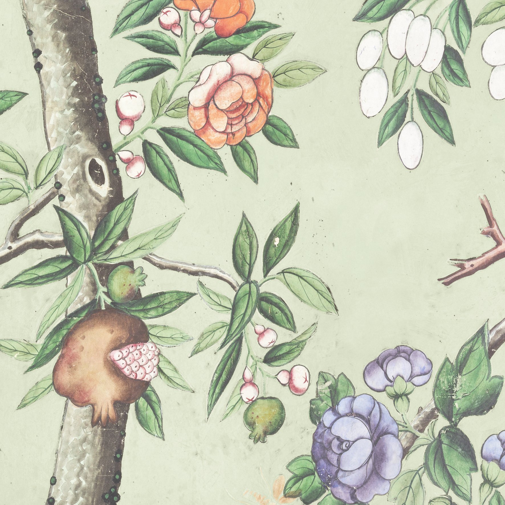 Chinoiserie | Siskin Green