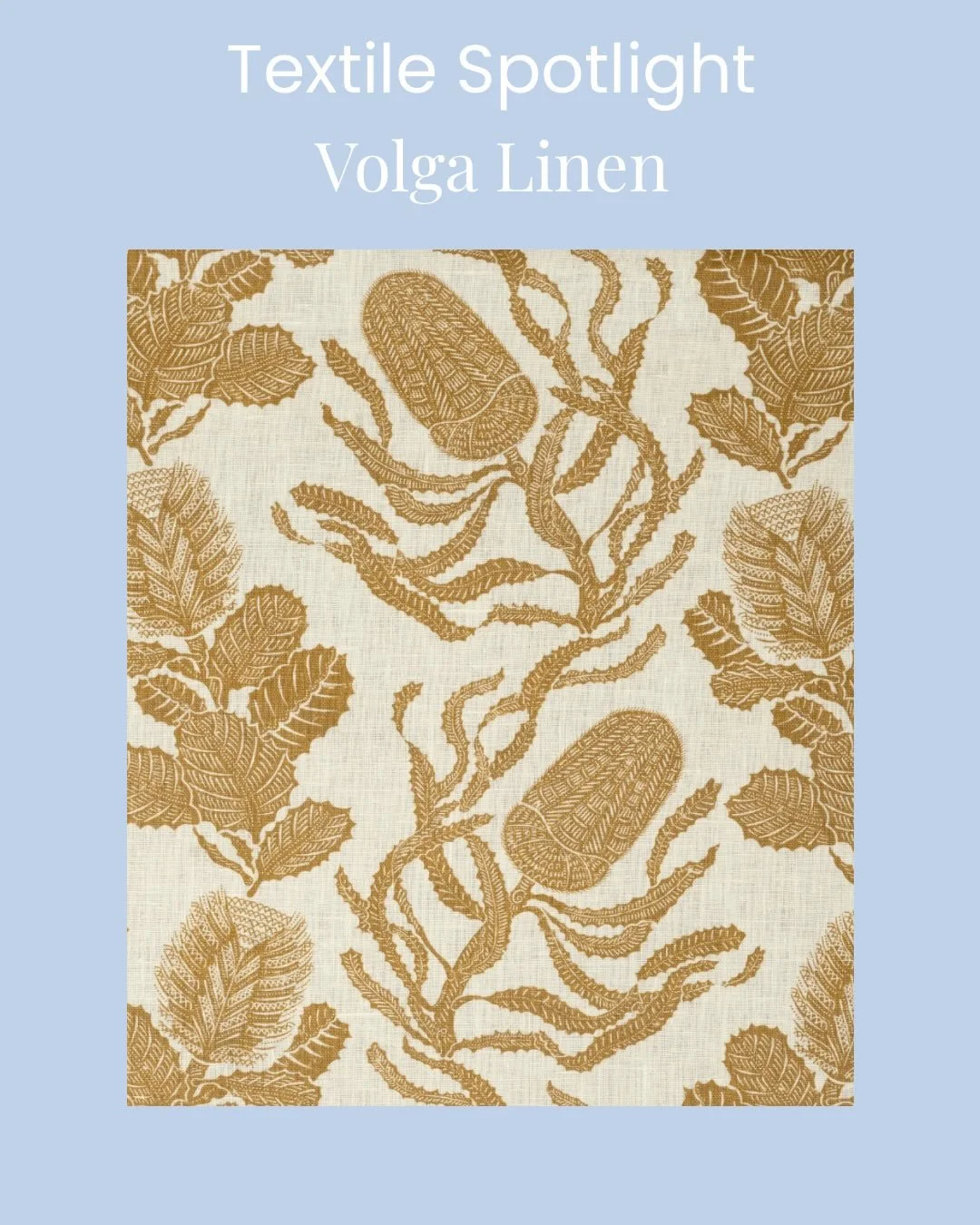 Fabric Friday! ✨

This week we&rsquo;re featuring Cape Botanical linen by @volga_linen 

This beautiful linen is suitable for both upholstery and drapery in three colors, Old Gold, Botanical Green, and Terracotta. This pattern can also be paper backe