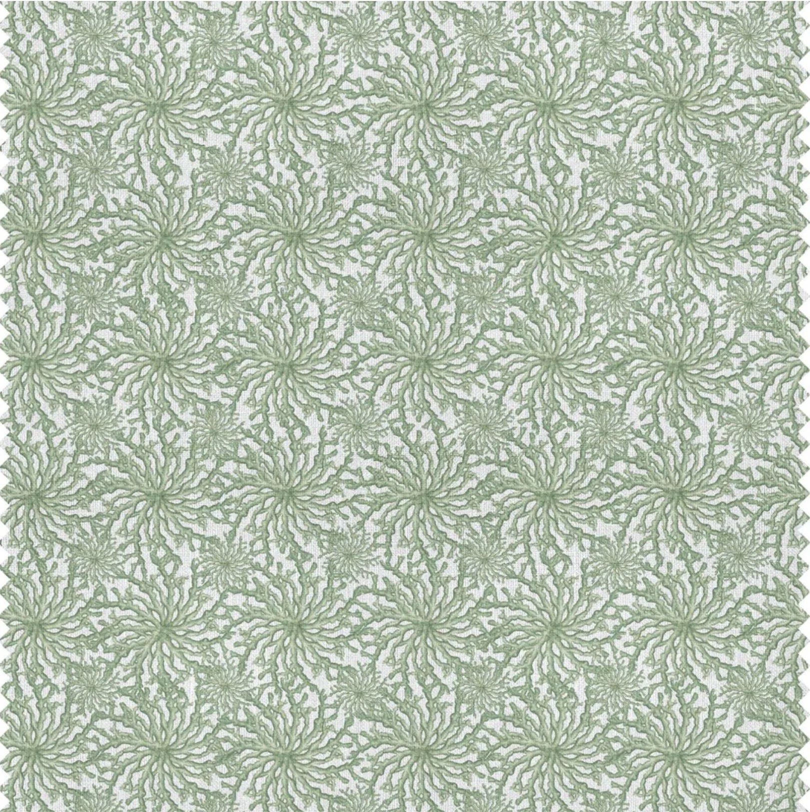 Coral Haze | Sage Green