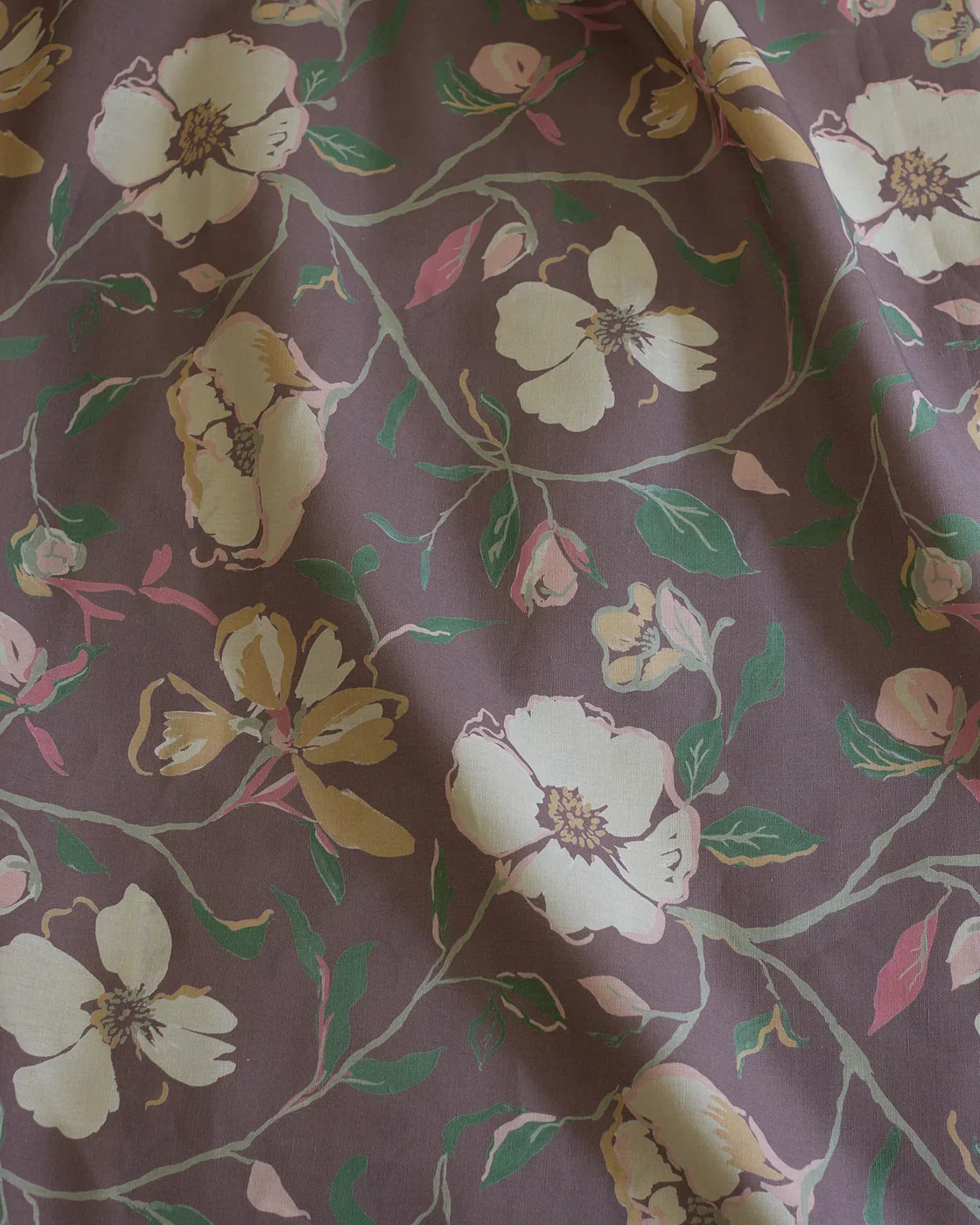 Sonia Linen | Coffee