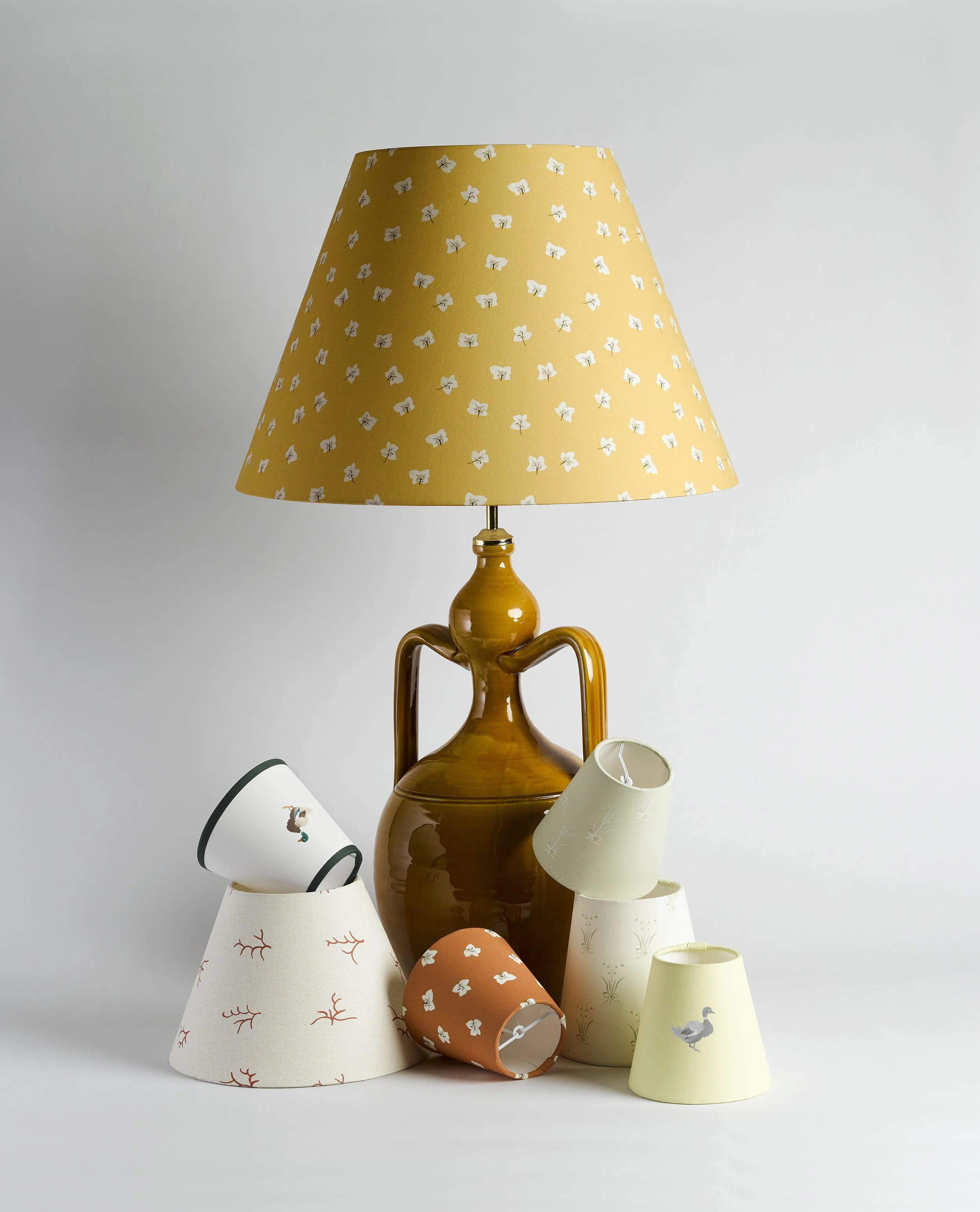 All Year Hellebores | Soane