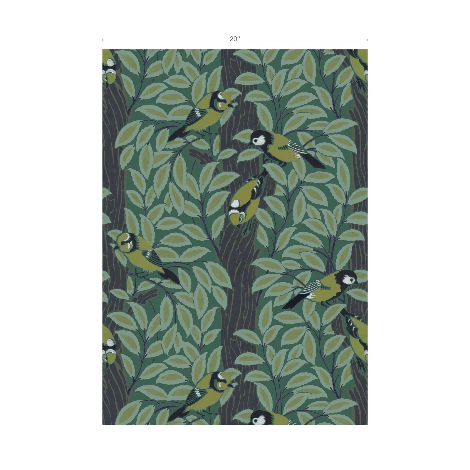 Le Chant des Oiseaux | Foret