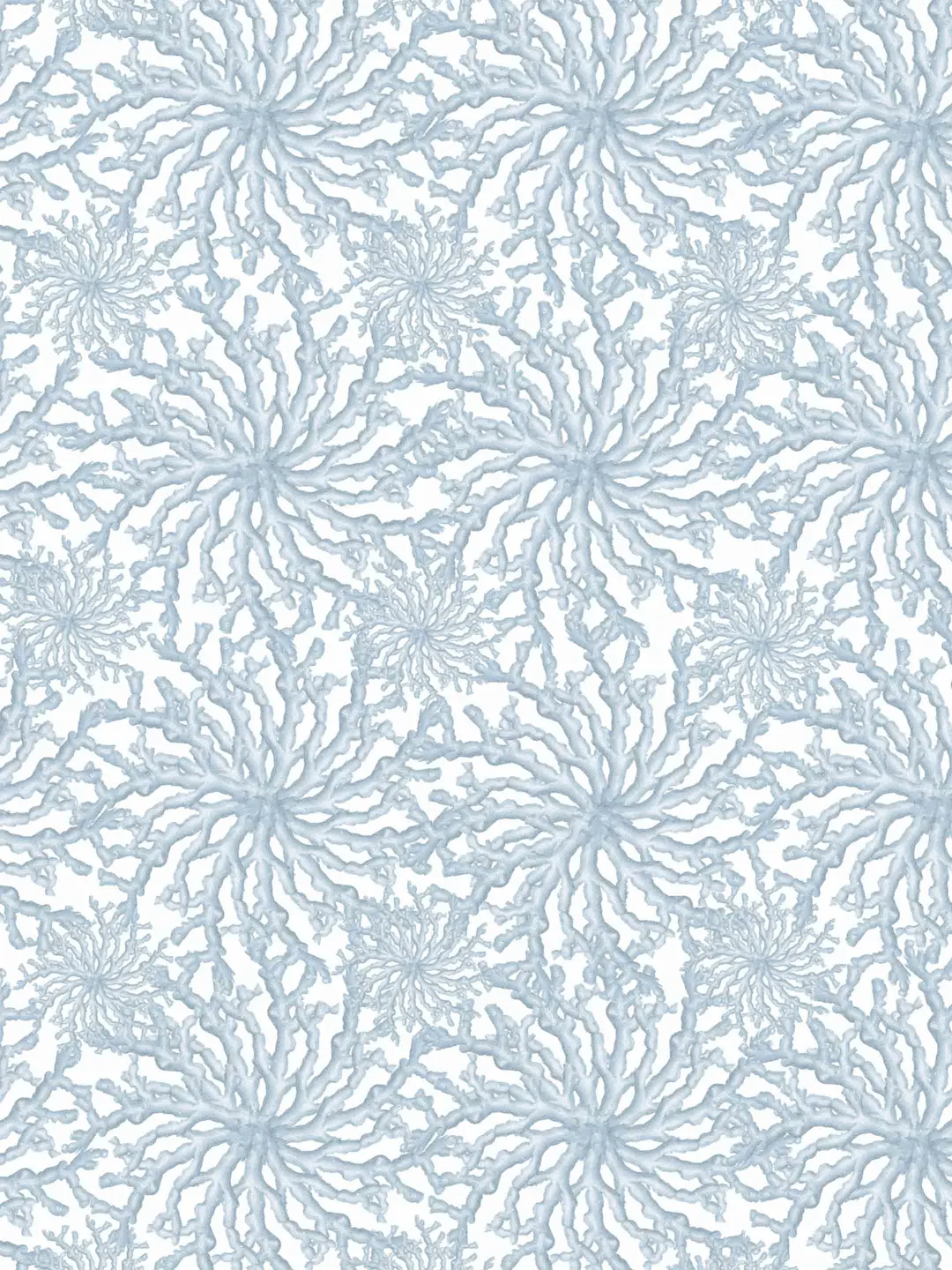 Coral Haze | Sky Blue