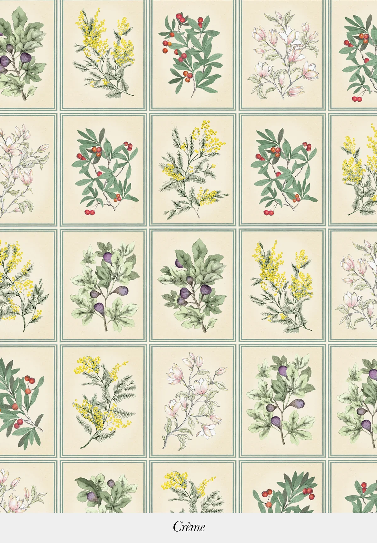 Pattern of various illustrated sprigs of plants with berries and flowers on a grid background, labeled 'Crème' at the bottom.