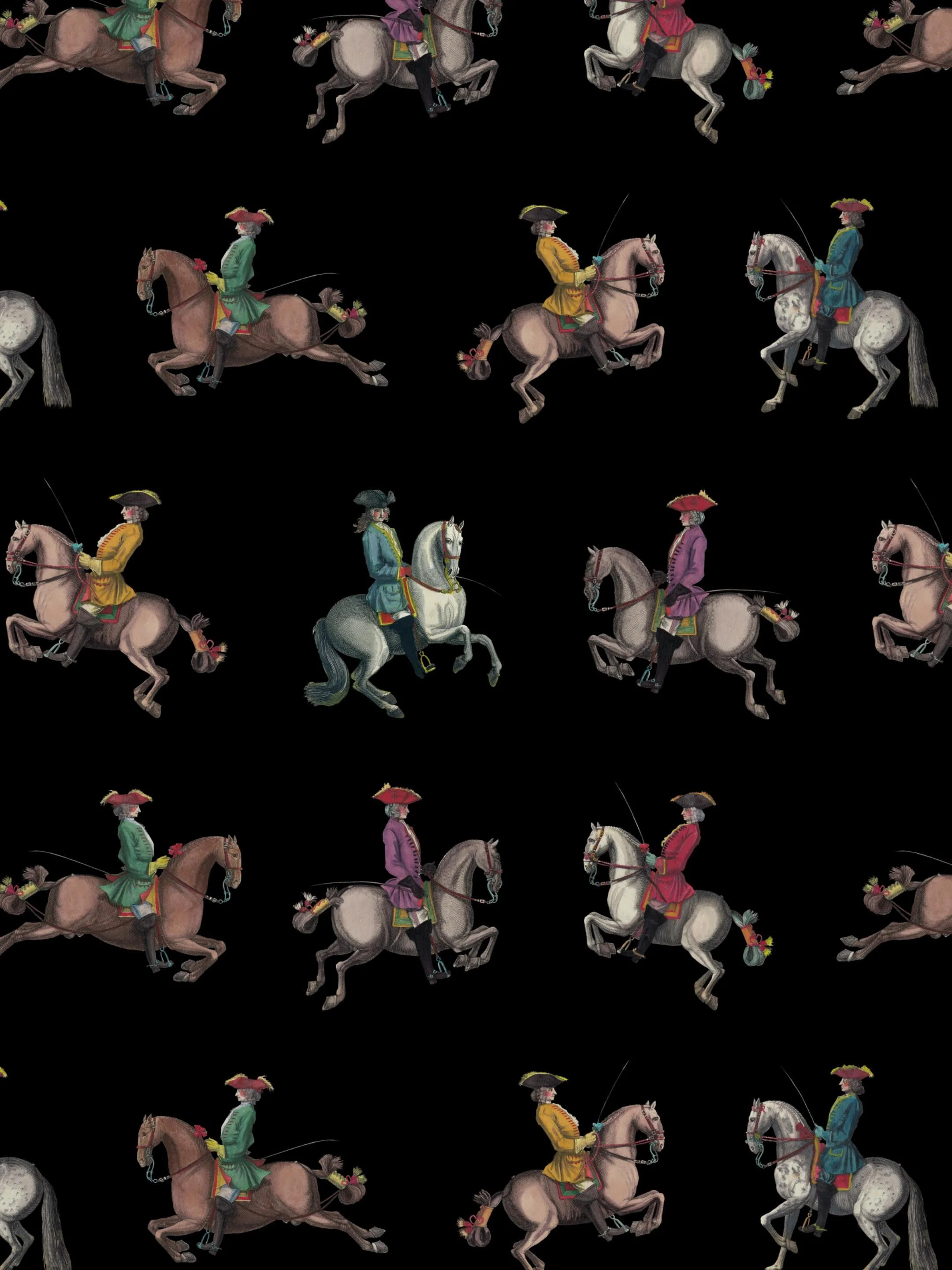 Riding School Black 1.jpg