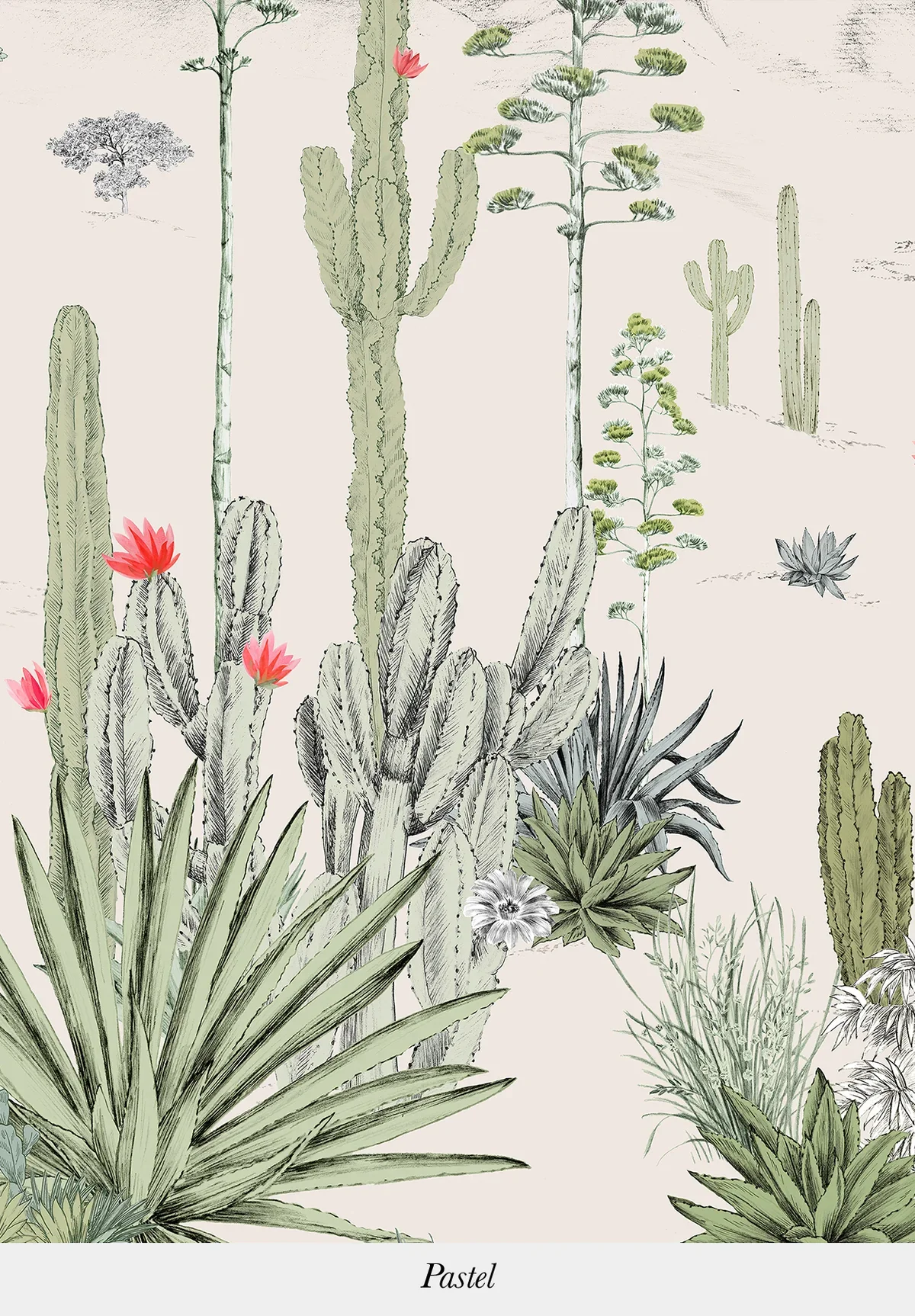 A pastel-colored illustration of various desert cacti and succulents, including tall columnar, prickly pear, and agave plants, with some having pink and white flowers, on a light background.