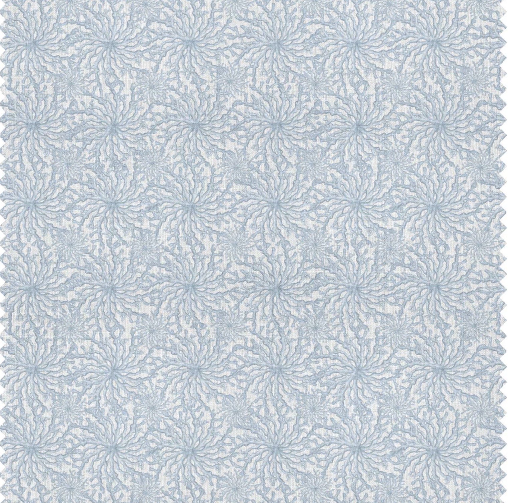 Coral Haze | Pale Blue