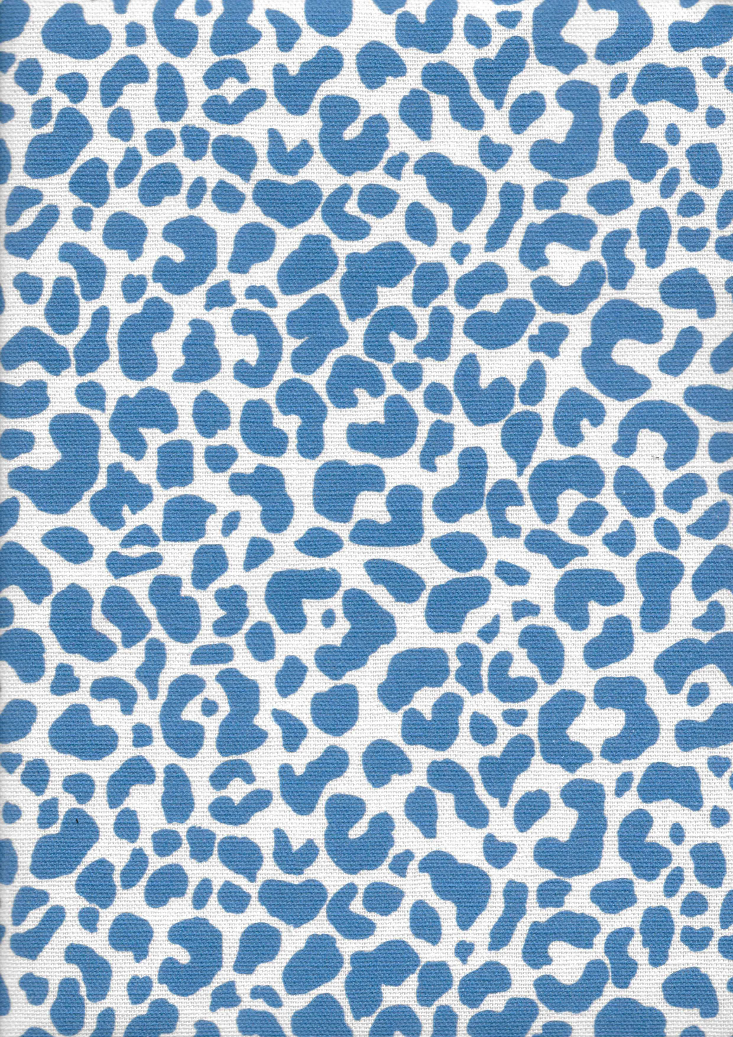 Amur | Ocean