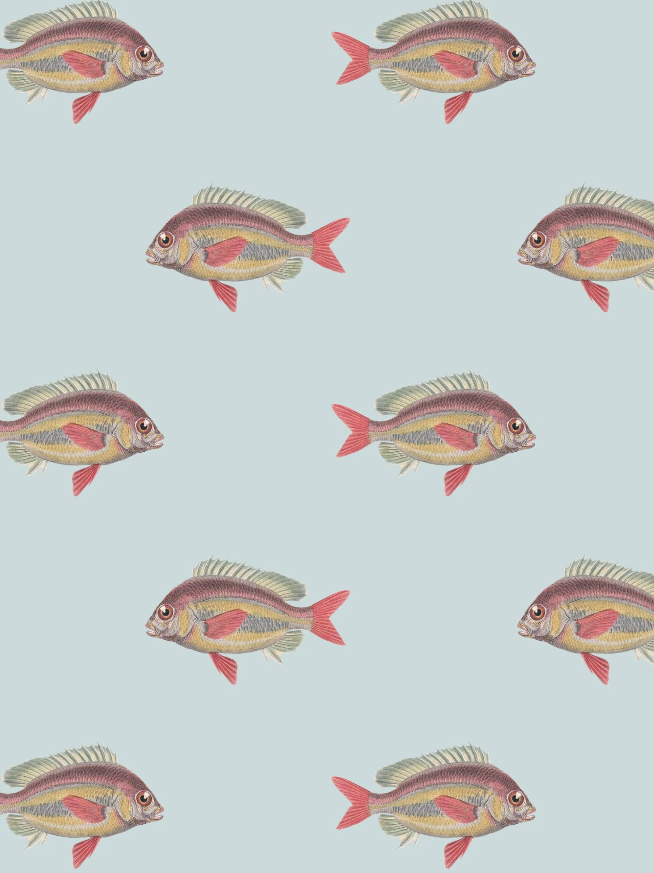 Going Swimmingly Pale Blue 1.jpg