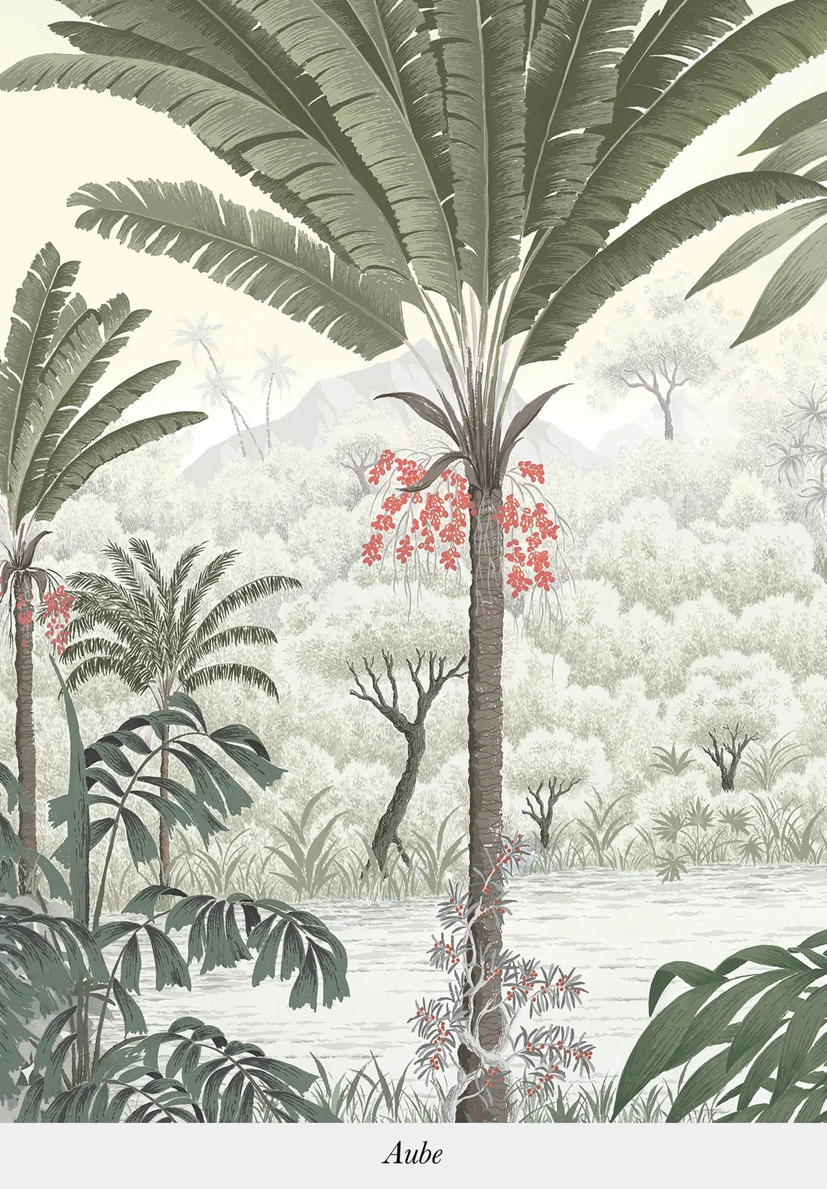 Illustration of a lush tropical landscape with large palm trees, other tropical plants, and mountains in the background, titled 'Aube'.