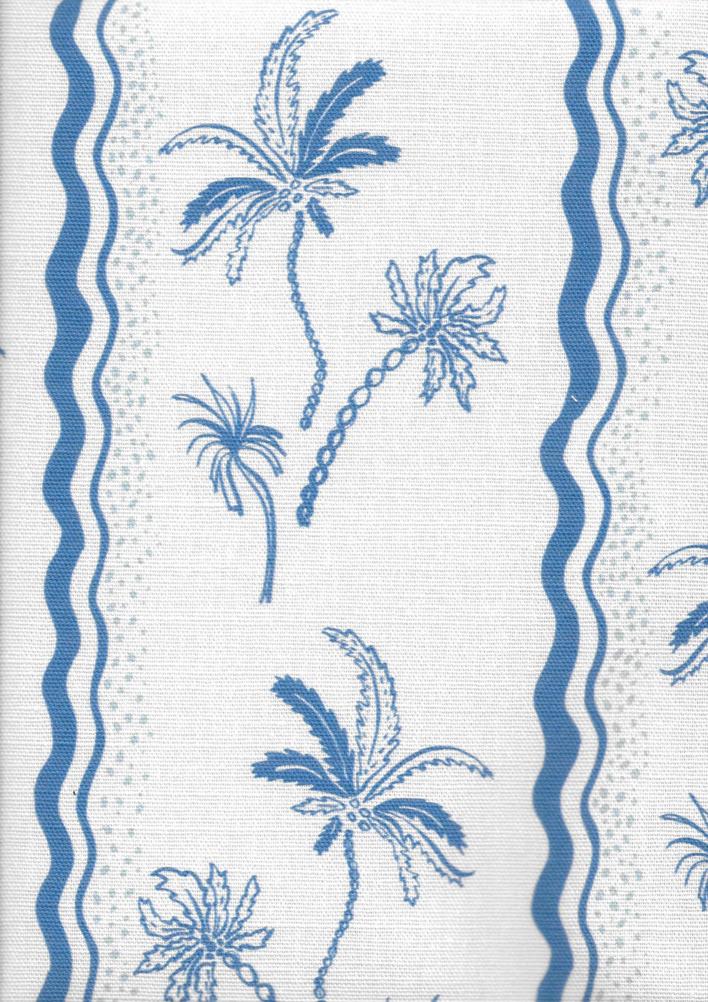 Little Palm | Ocean