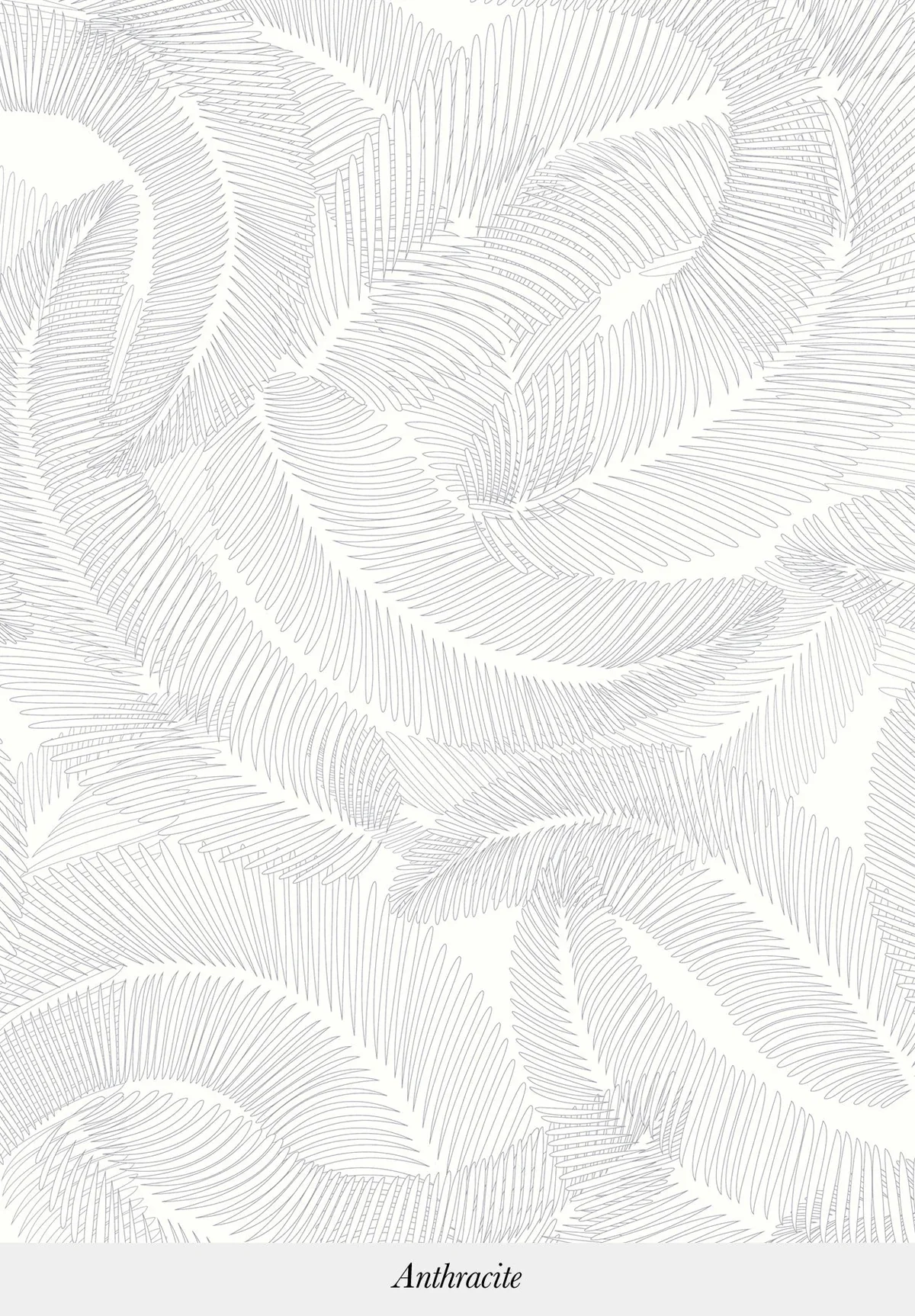 Line drawing of palm leaves with a white background, titled 'Anthracite'.