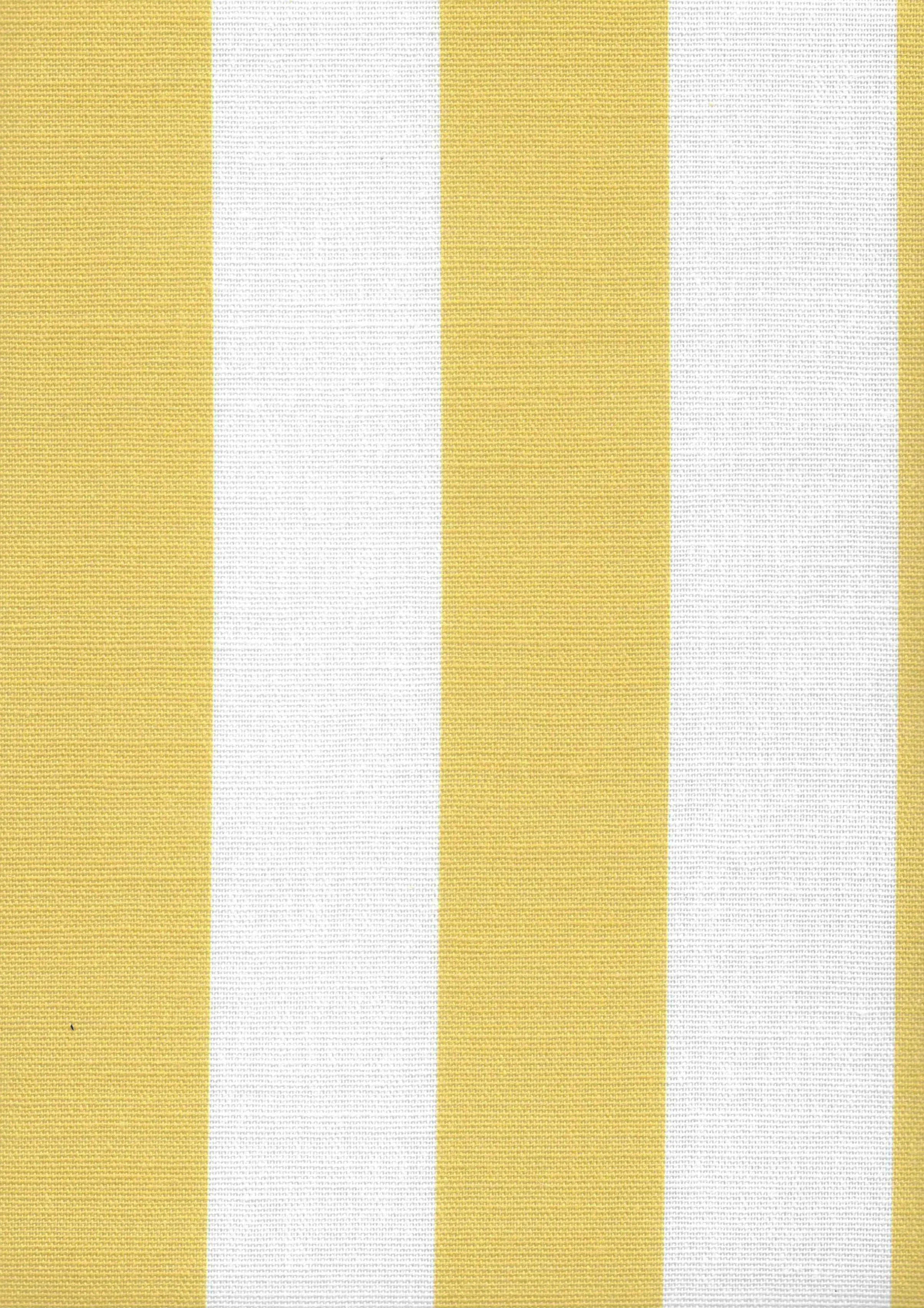 Cabana Stripe | Macaron