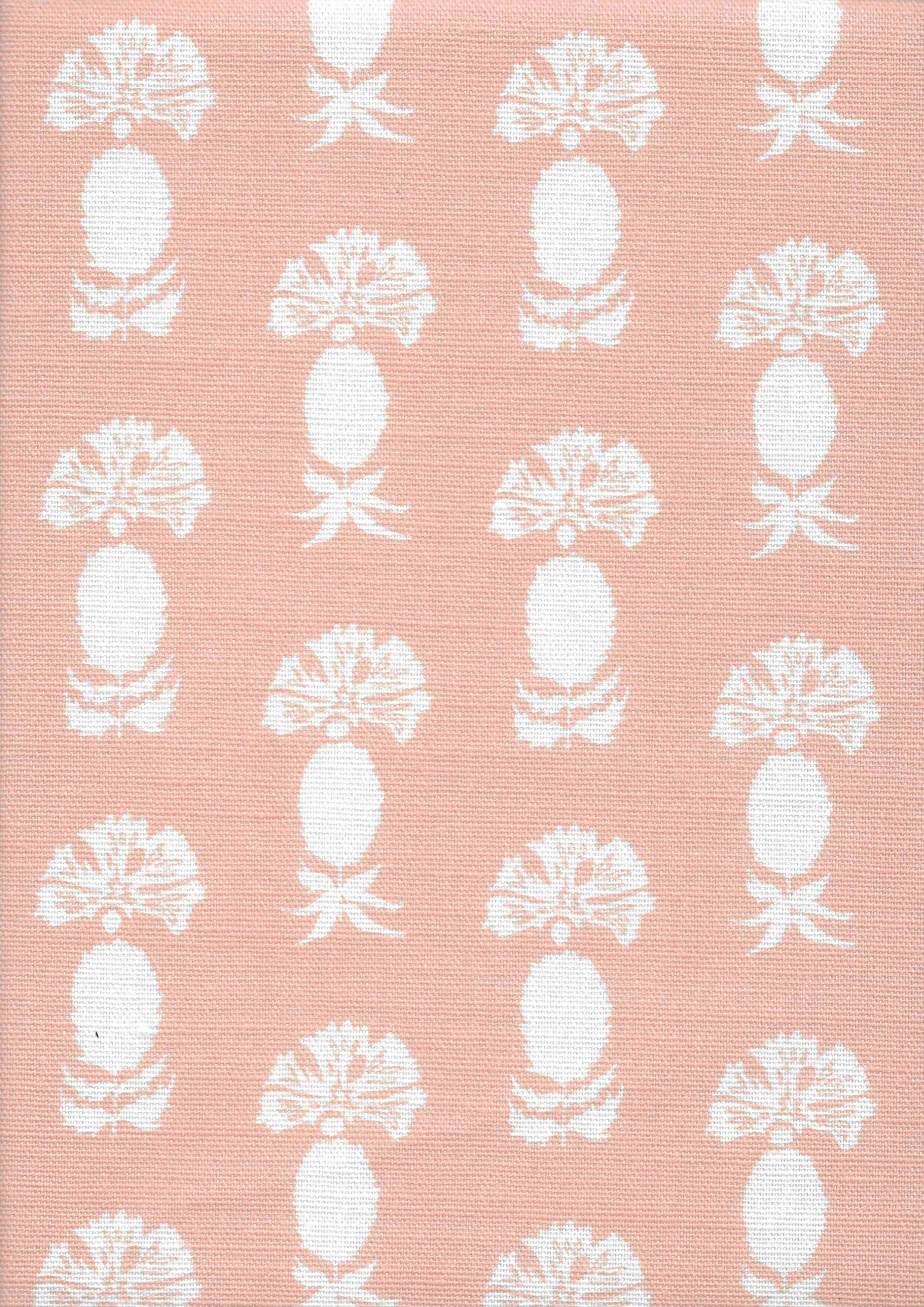 Chardon-Marie | Rose