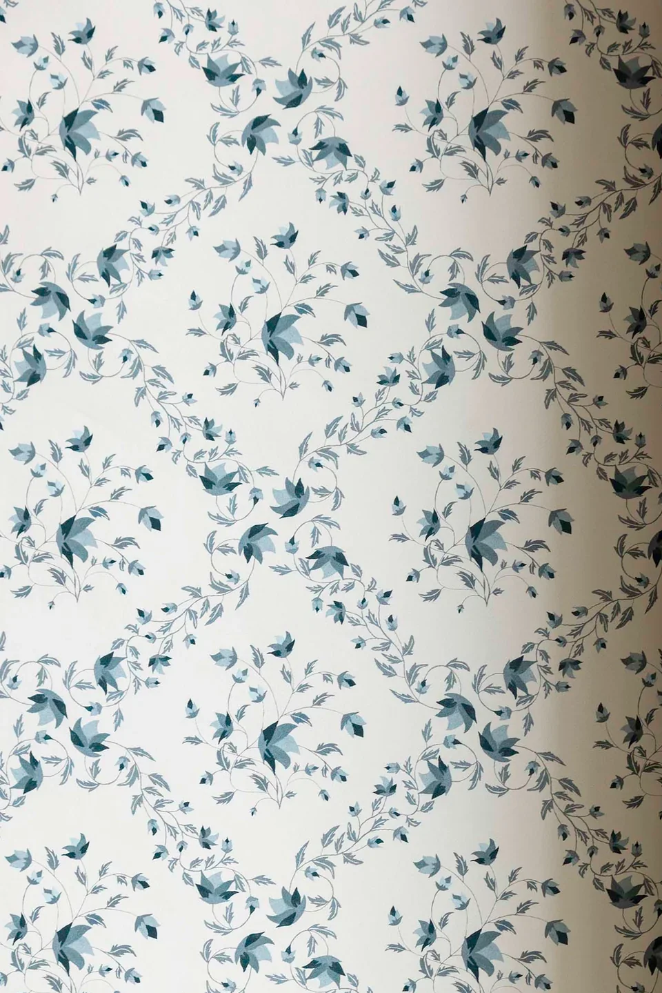 La Maison Louise | Mistry Designs