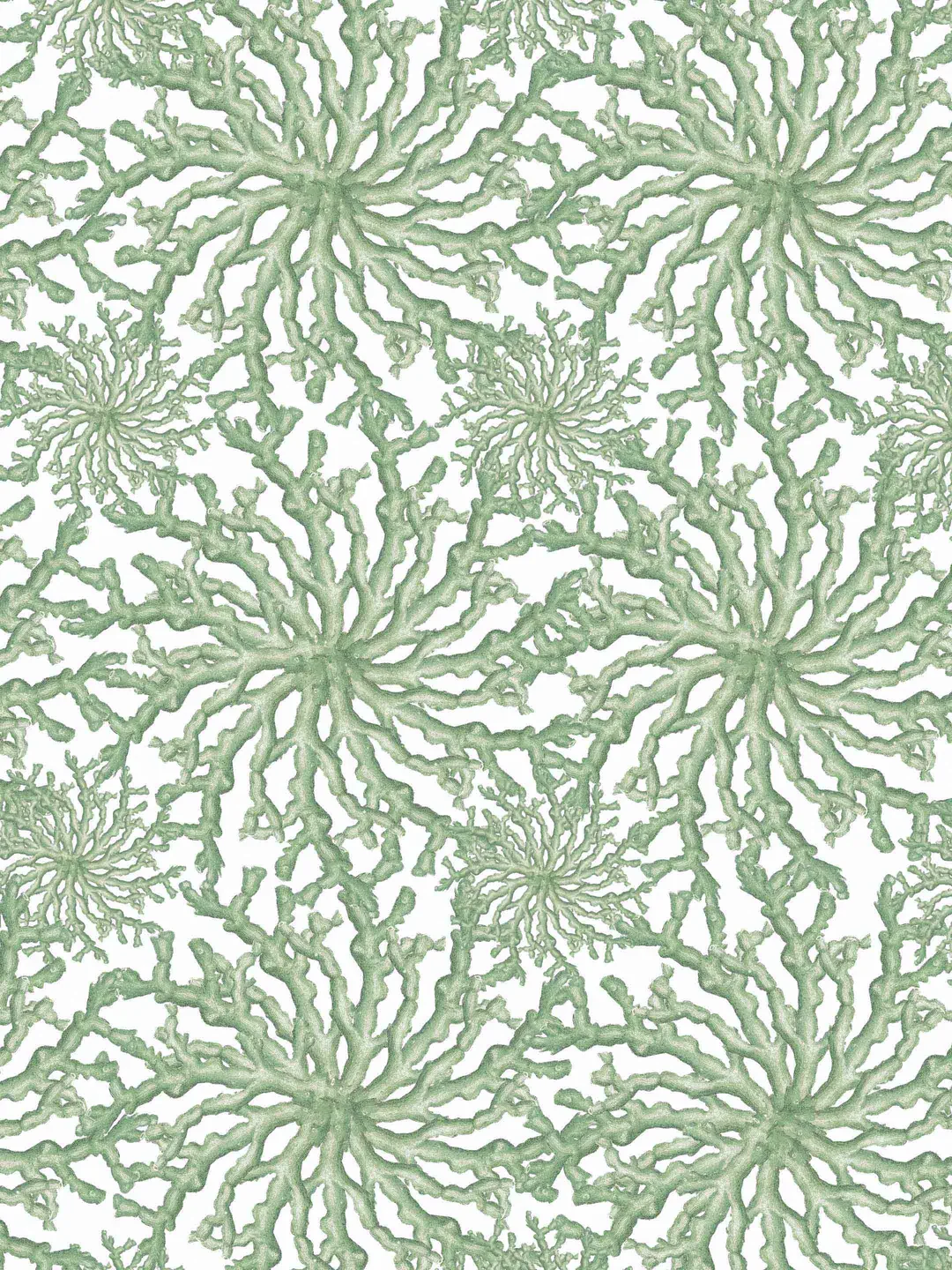 Coral Haze | Sage Green