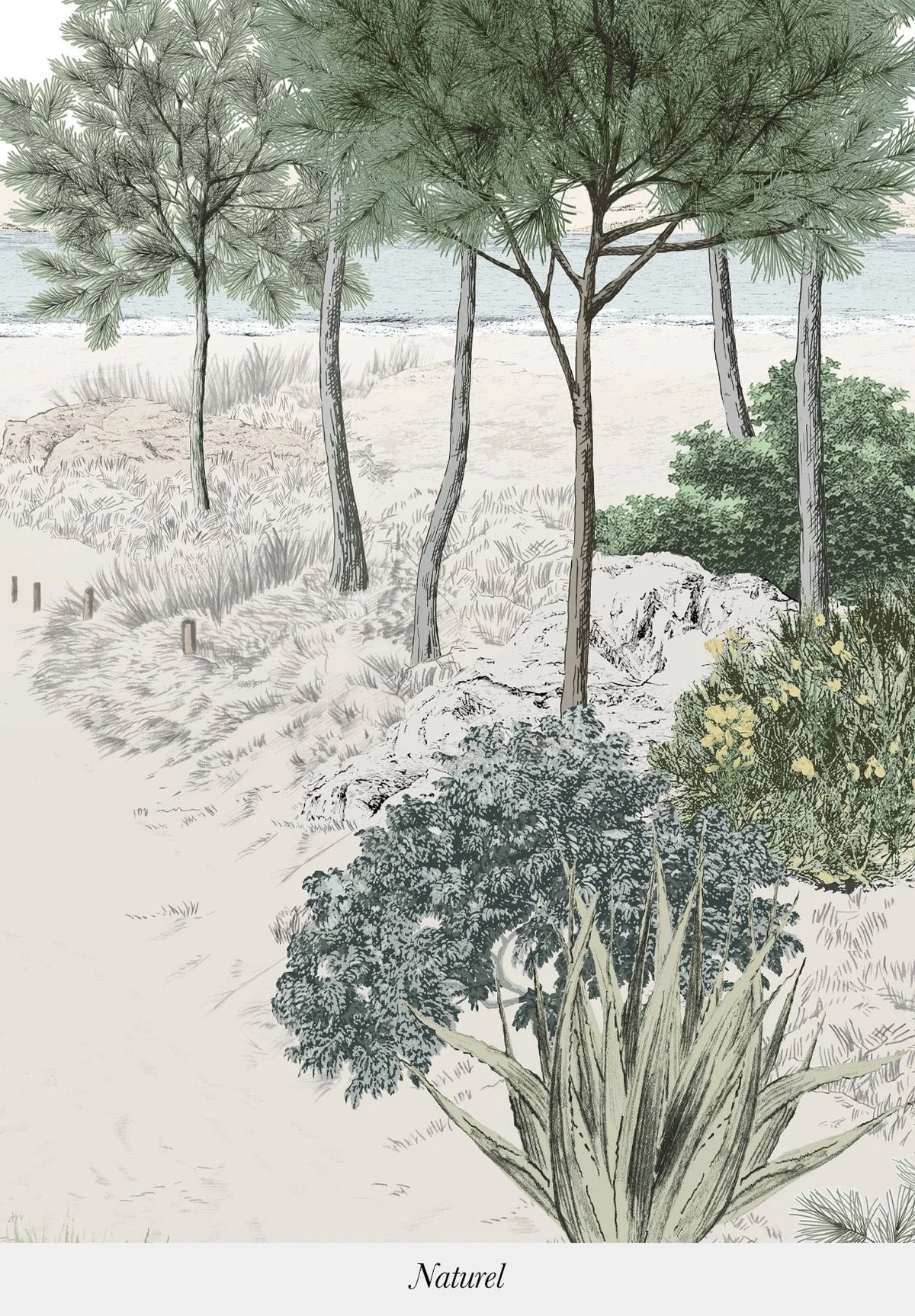 Illustration of a natural landscape with trees, bushes, and a sandy beach near a body of water.