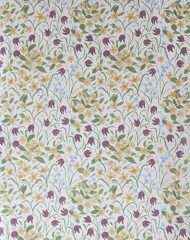 Oxford Meadow | Orignal