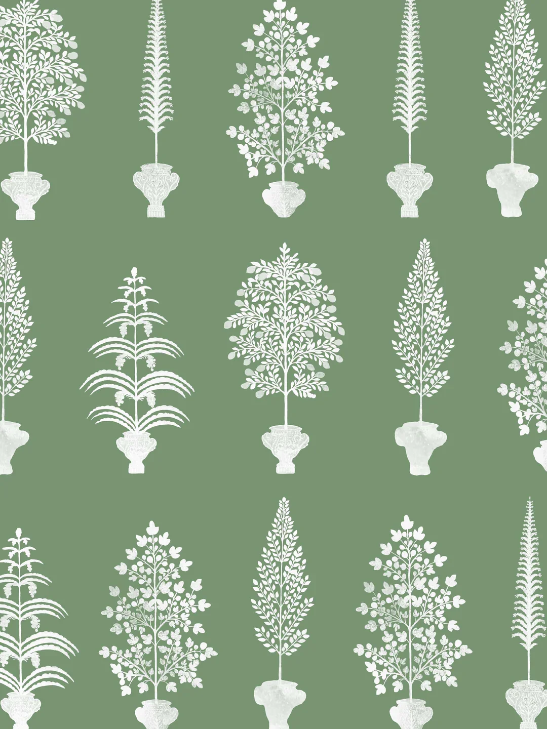 Spirit Palms | Fern Green