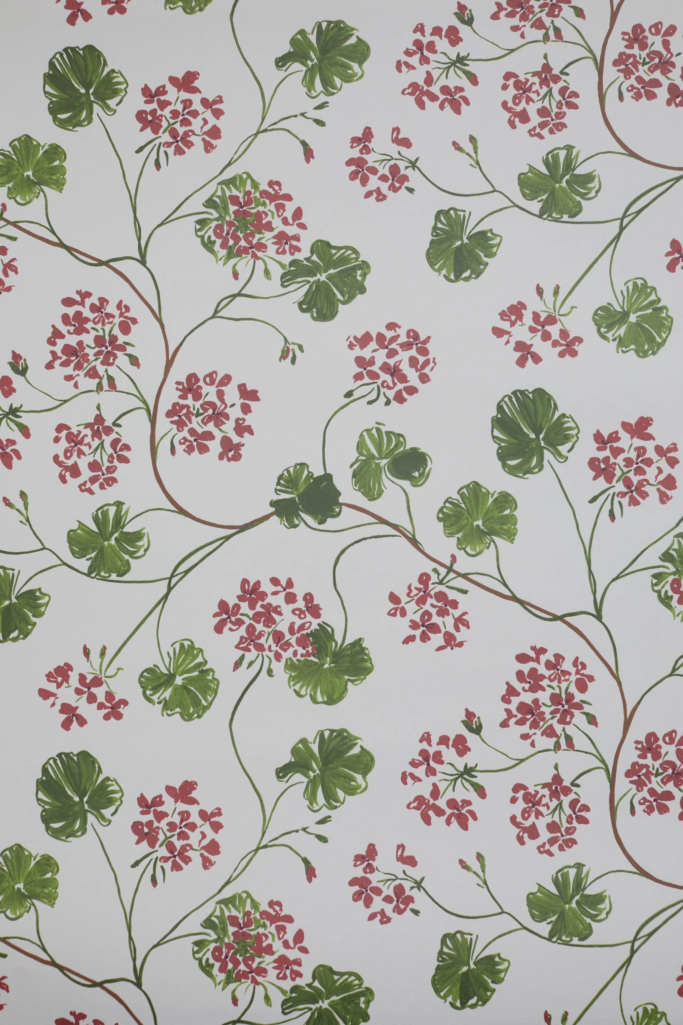 La Maison Louise | Geraniums