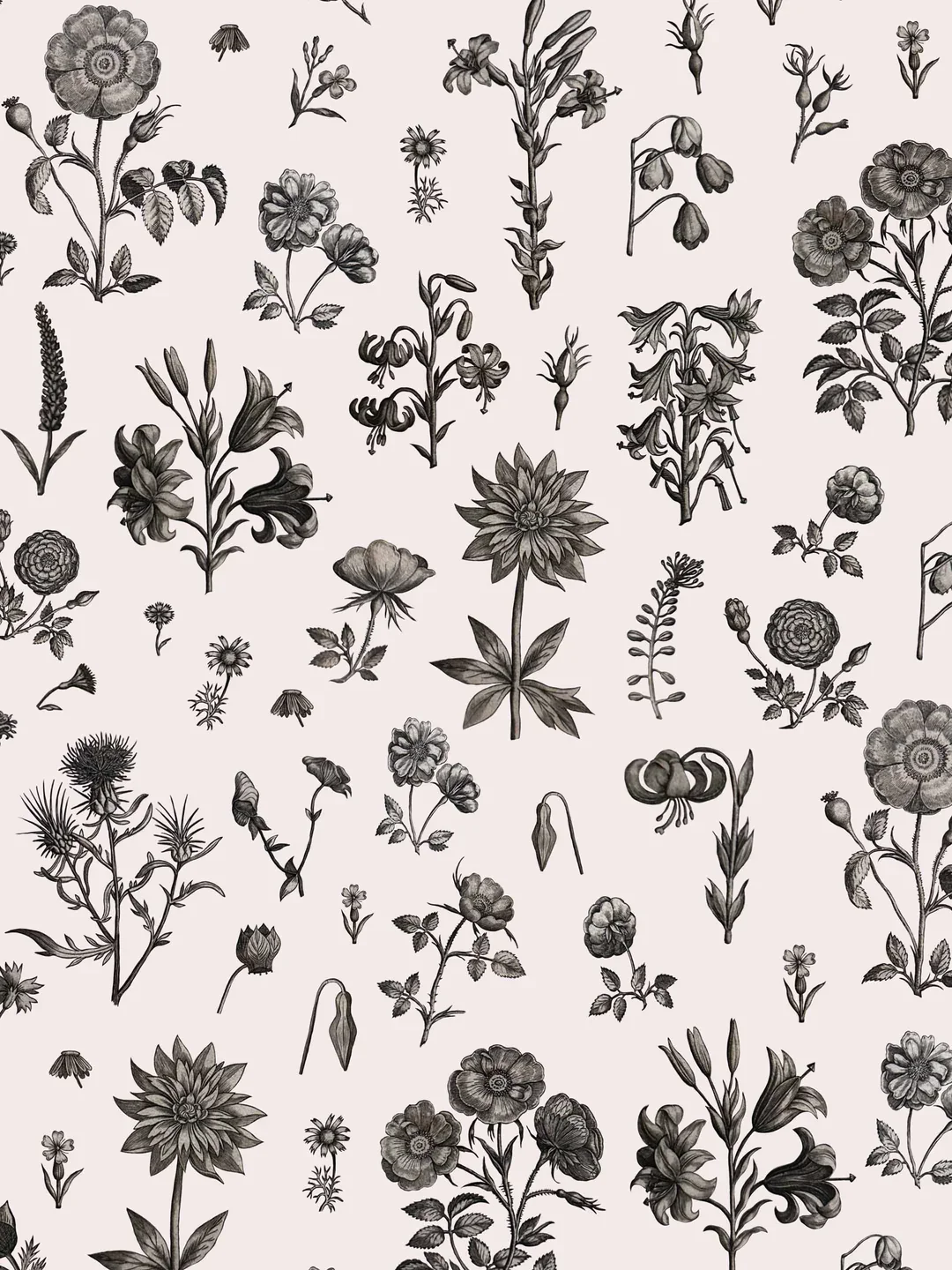 Mughal Flowers