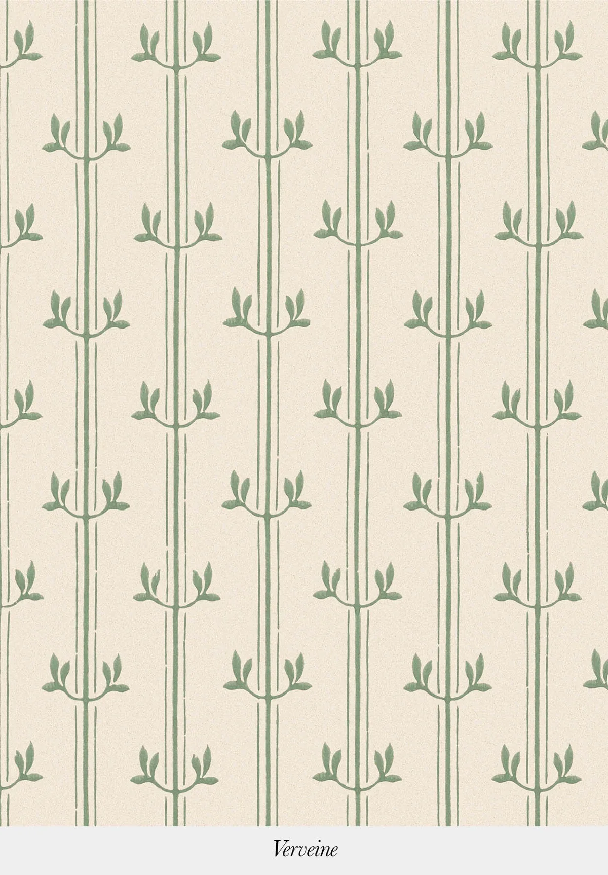 Aurèle Stripe | Verveine