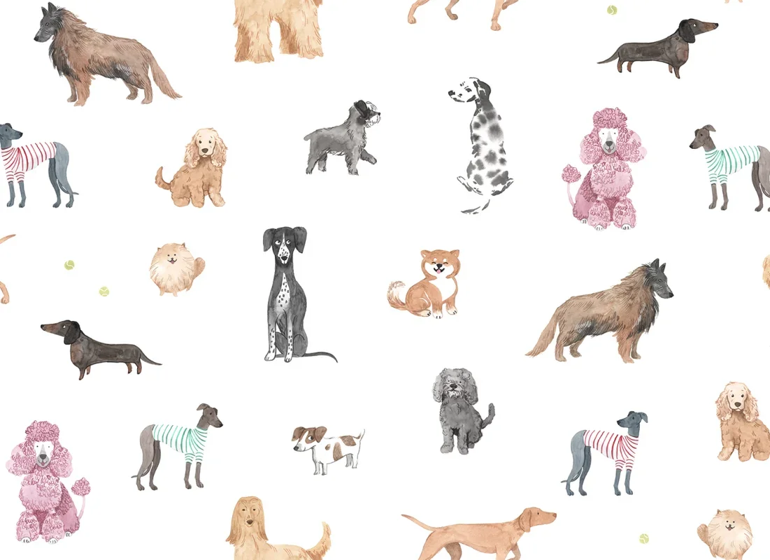 Taiga and Friends | White