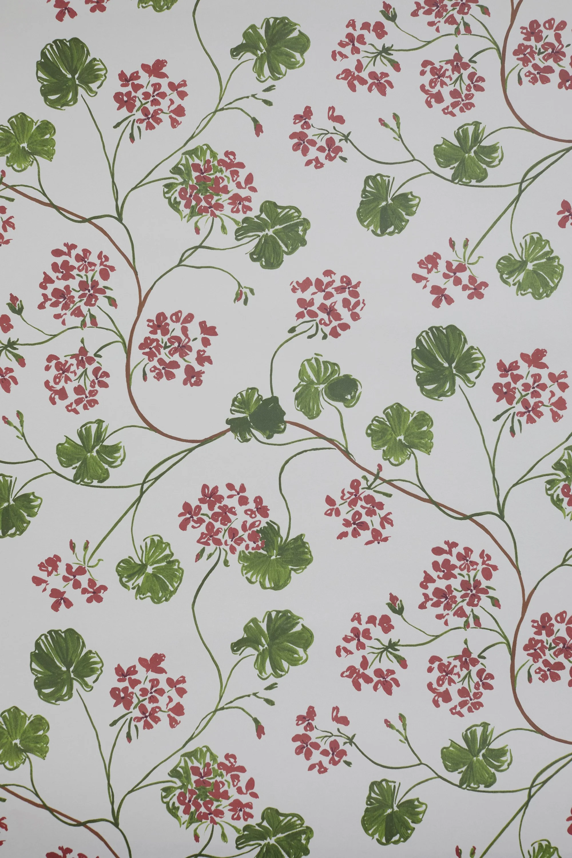 La Maison Louise | Sophie Harpley