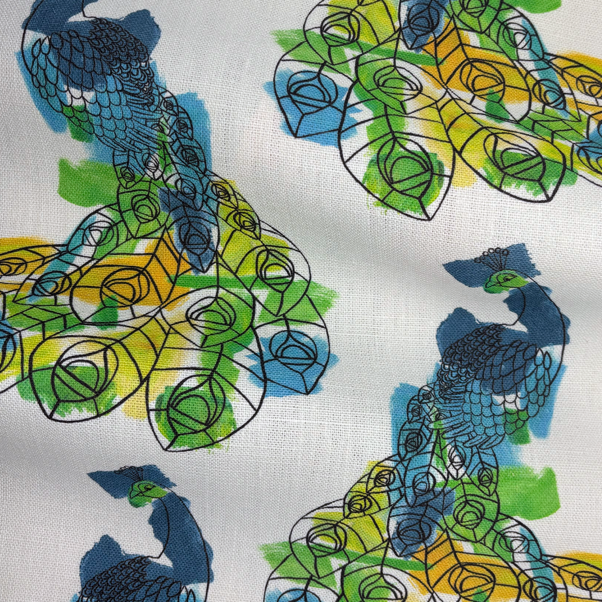 Peacock | Bright Coastal