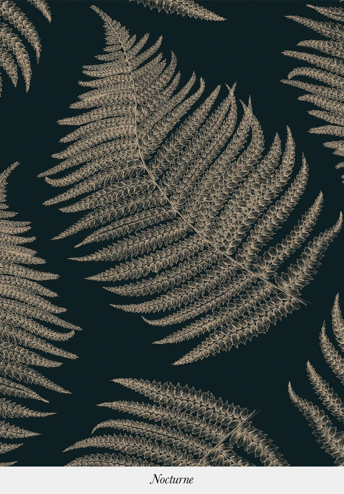 Close-up of fern leaves against a dark background with the word 'Nocturne' at the bottom.