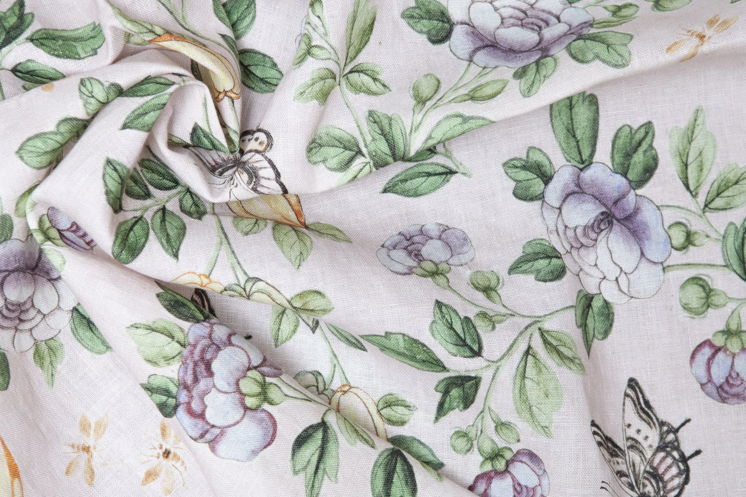 Papillon | English Rose