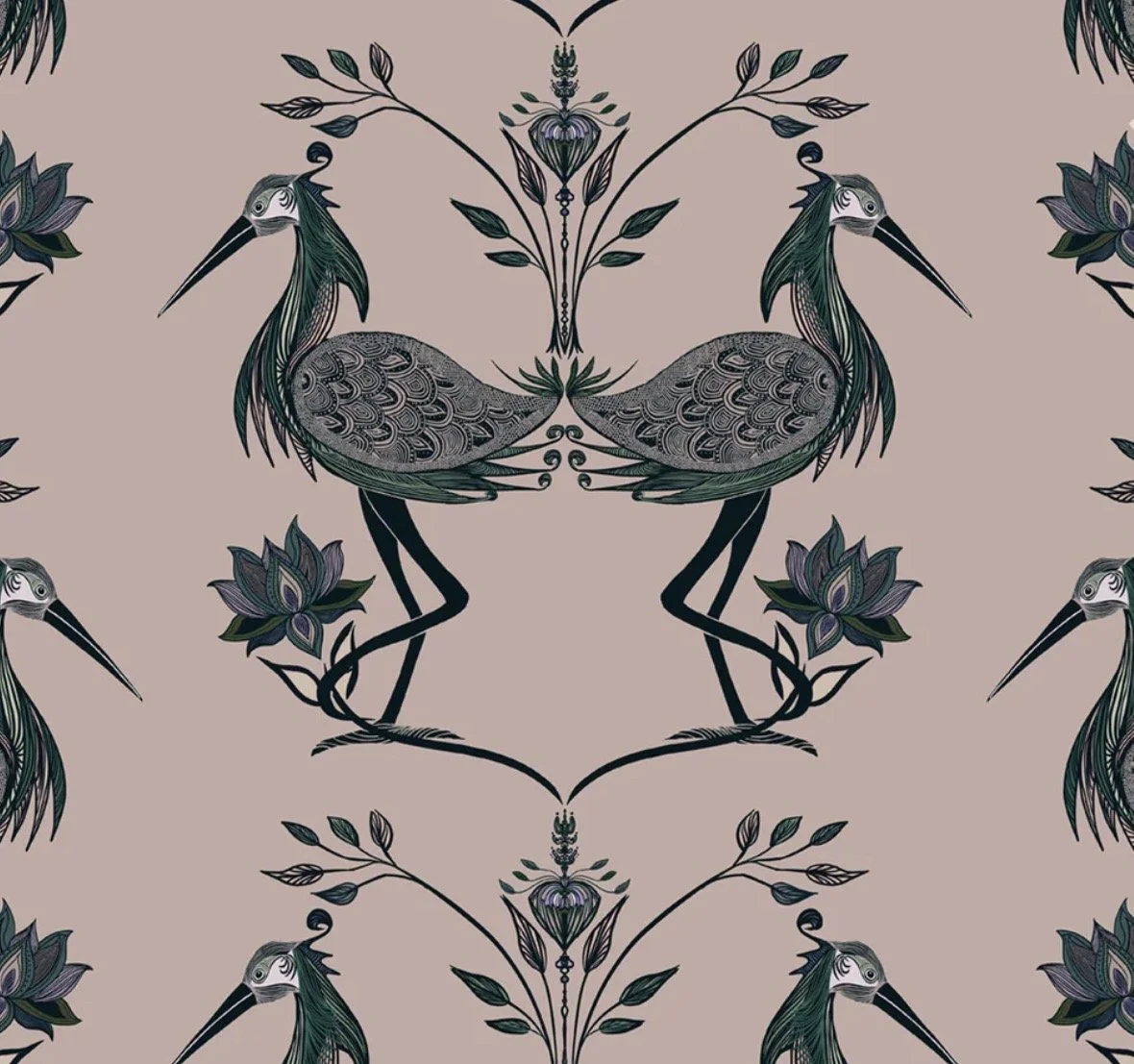 Lotus | Salmon