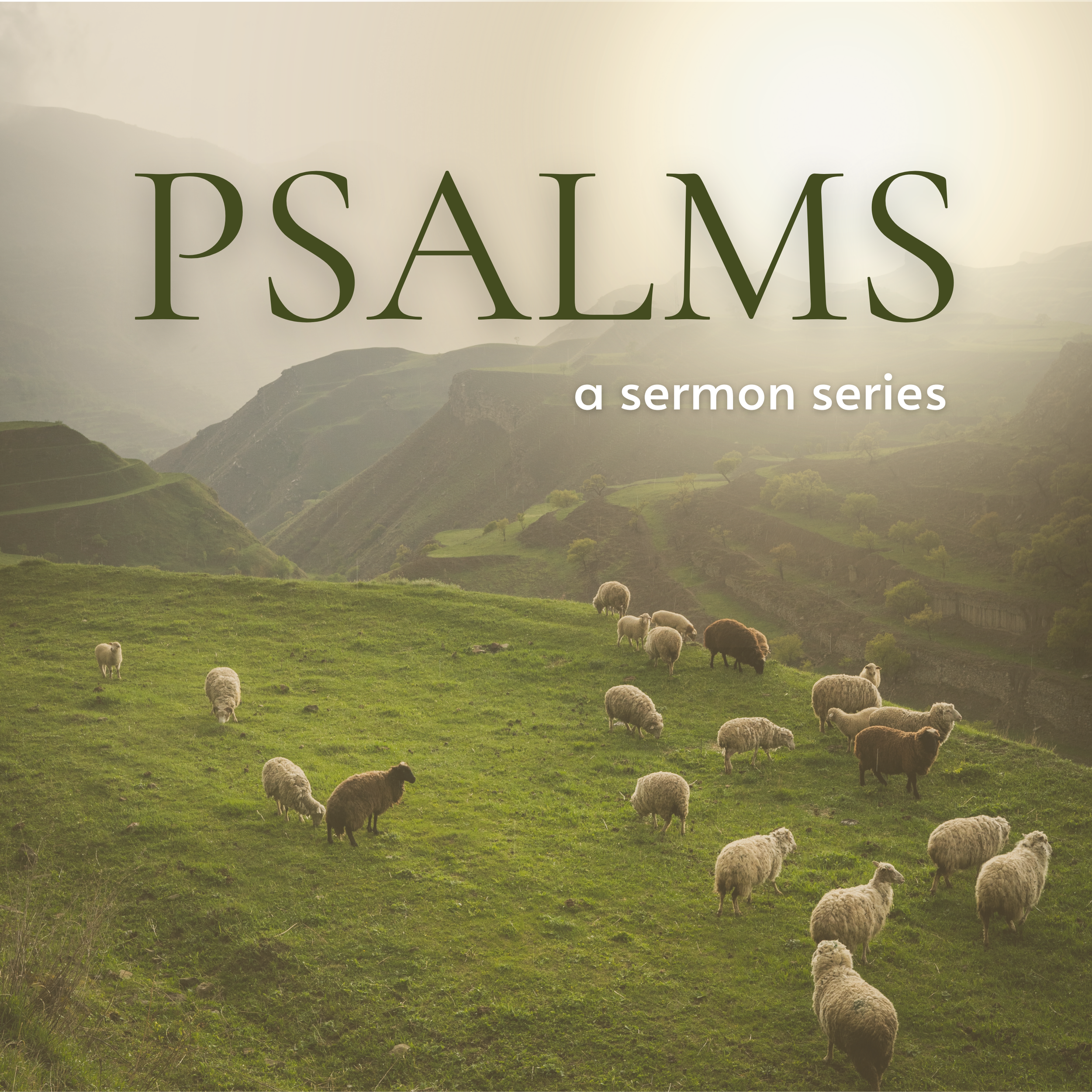 Rolling green hills with scattered sheep grazing, hazy mountains in the background, and the words 'PSALMS, a sermon series' overlaid on the scene.
