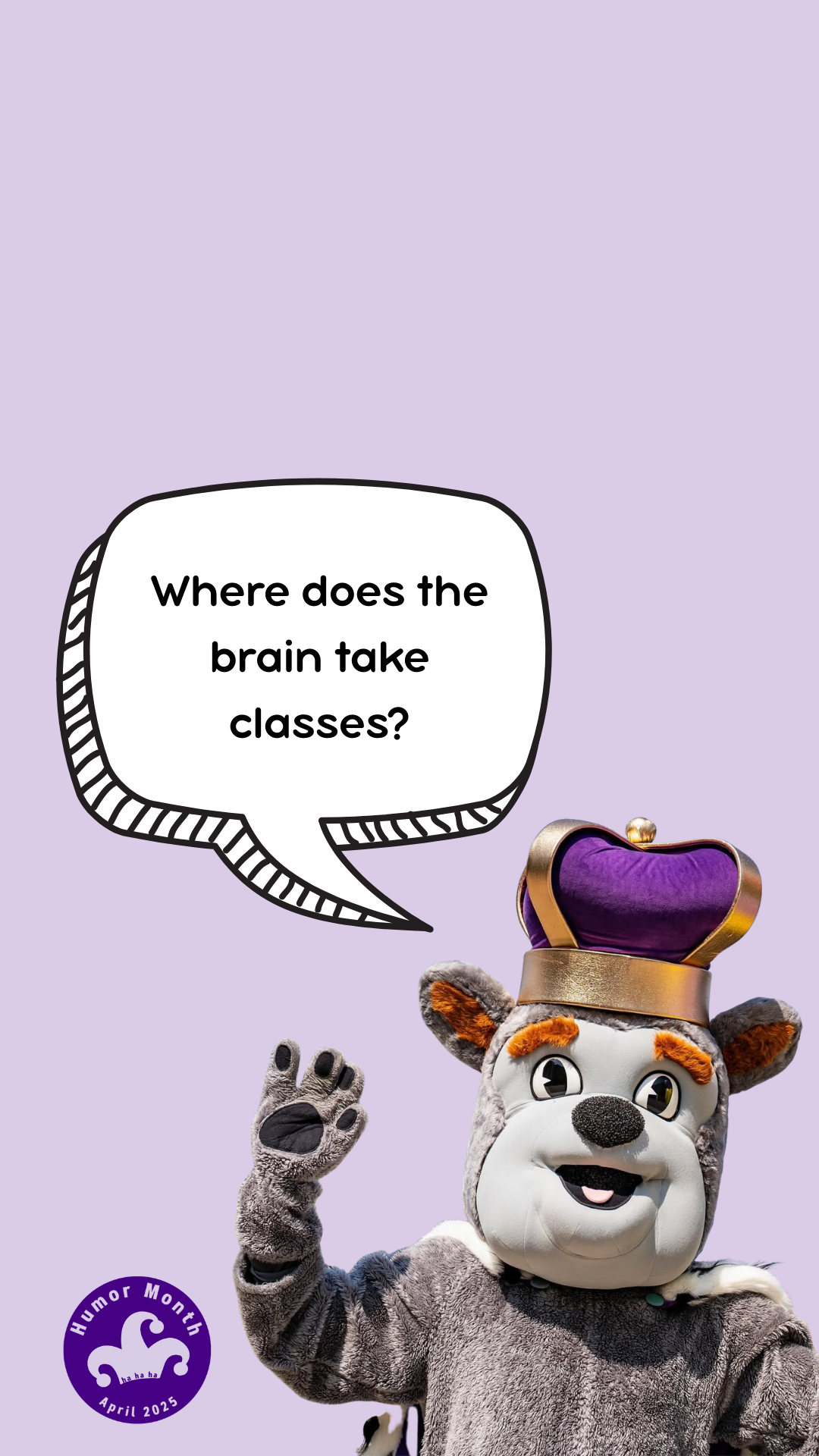 19.png