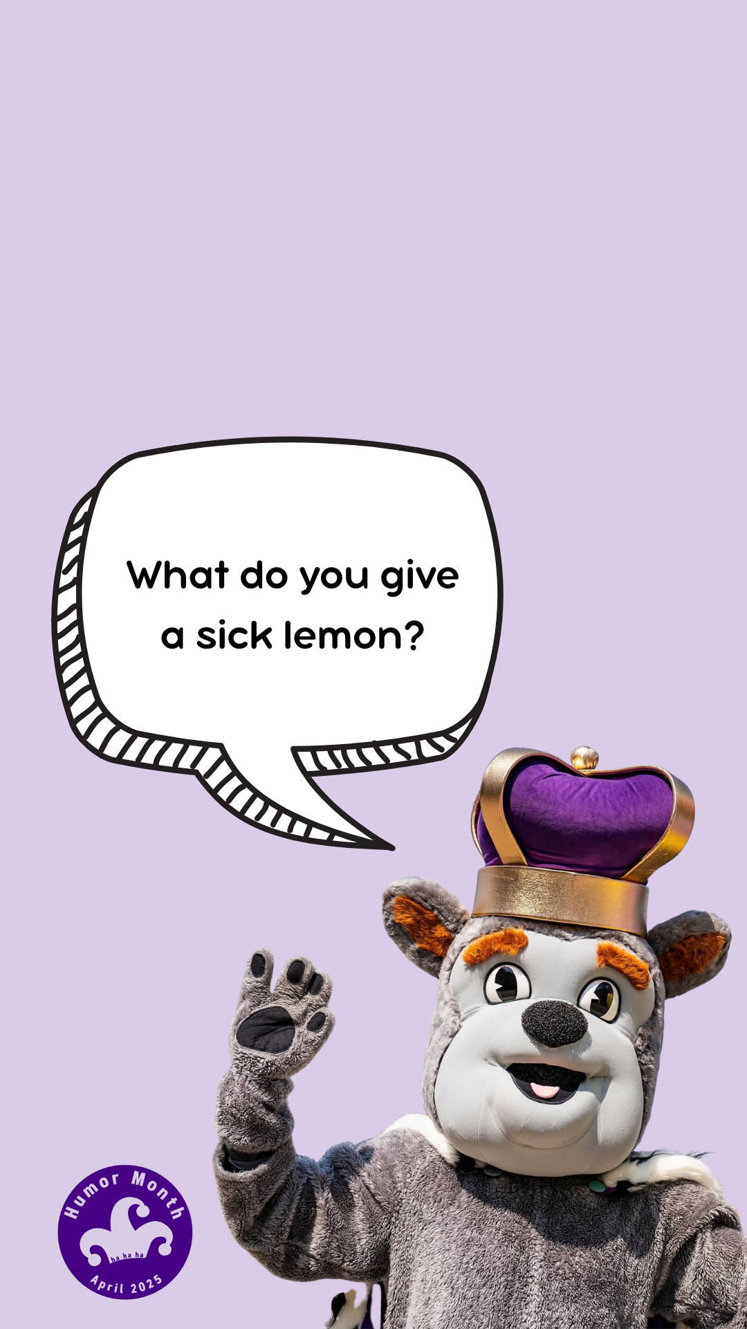 11.png