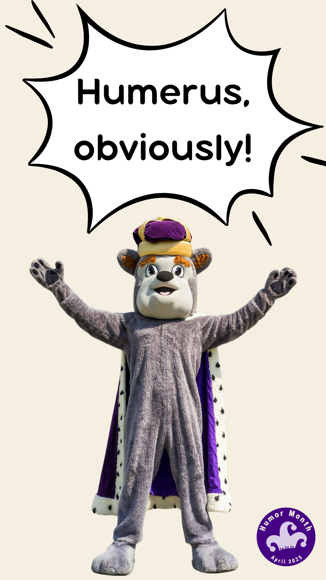 4.png