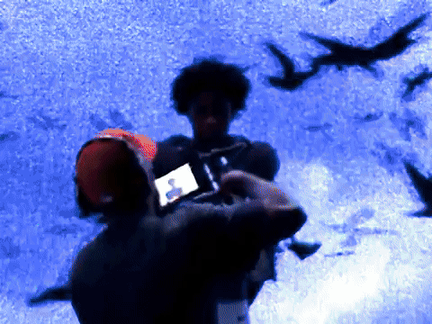 nlfpatrim3.gif