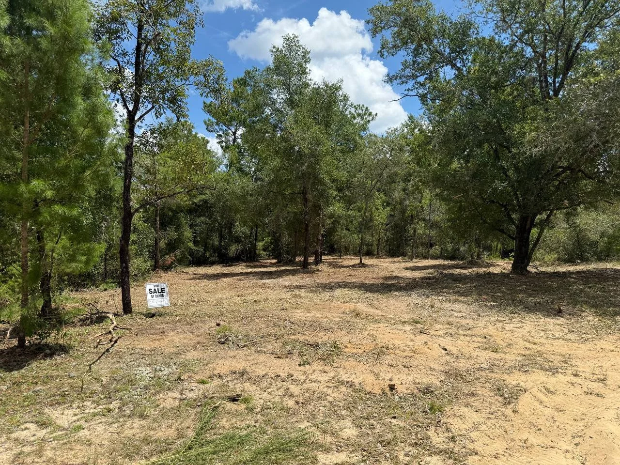 .32 Acres - Interlachen FL