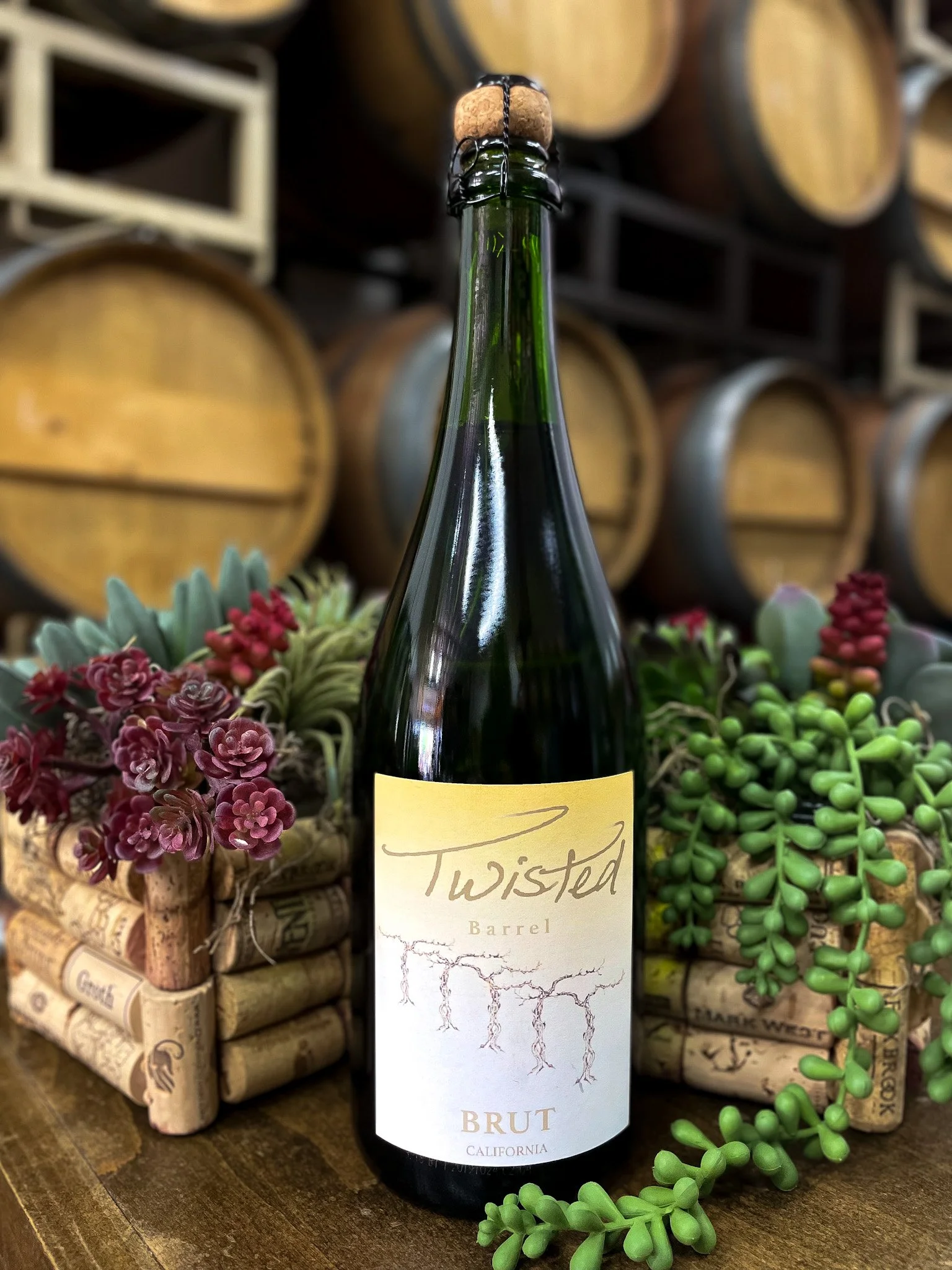 A bottle of Twisted Barrel Brut California sparkling wine on a wooden surface, surrounded by decorative succulent plants and wine barrels in the background.